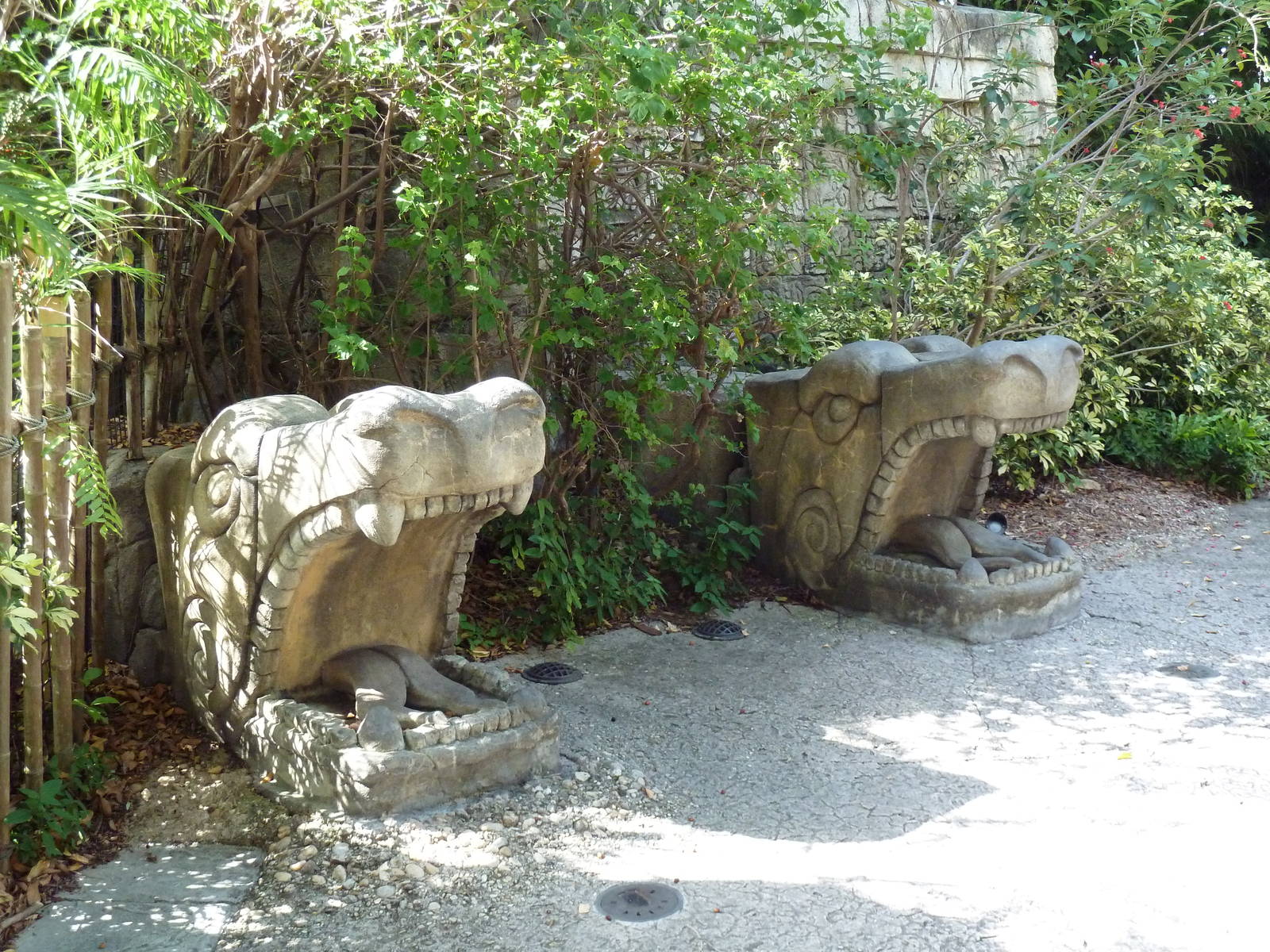 Tropics of the Americas