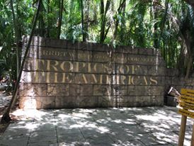 Tropics of the Americas