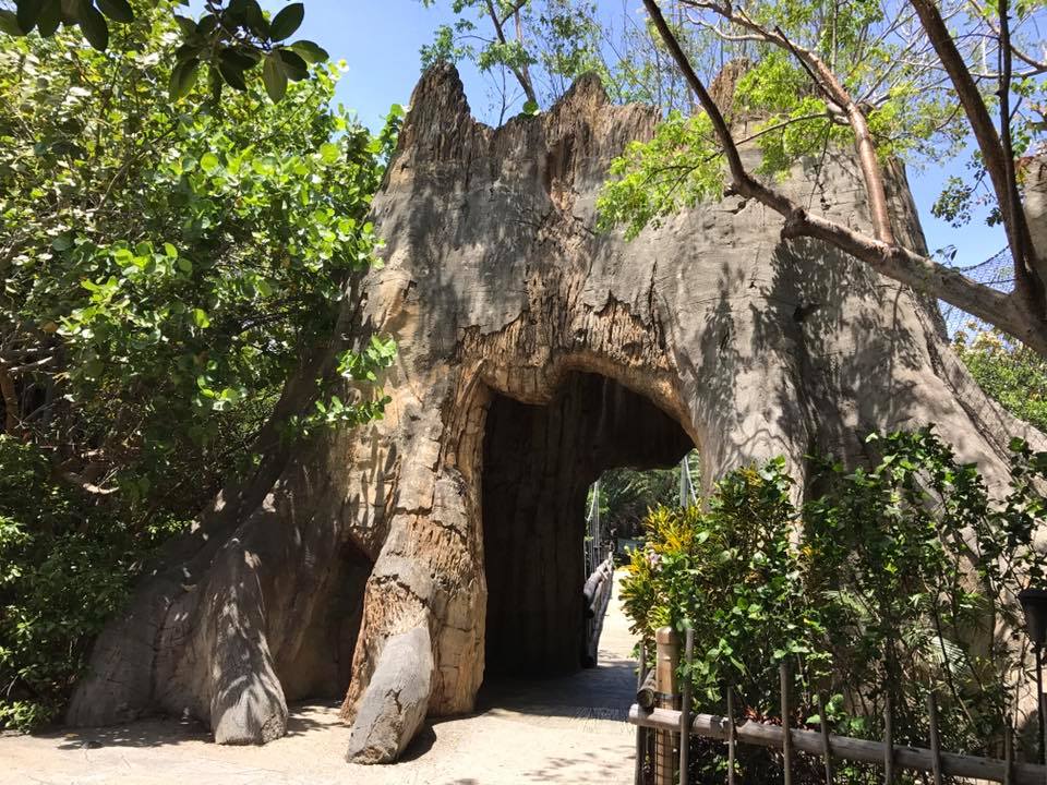 Tropics of the Americas