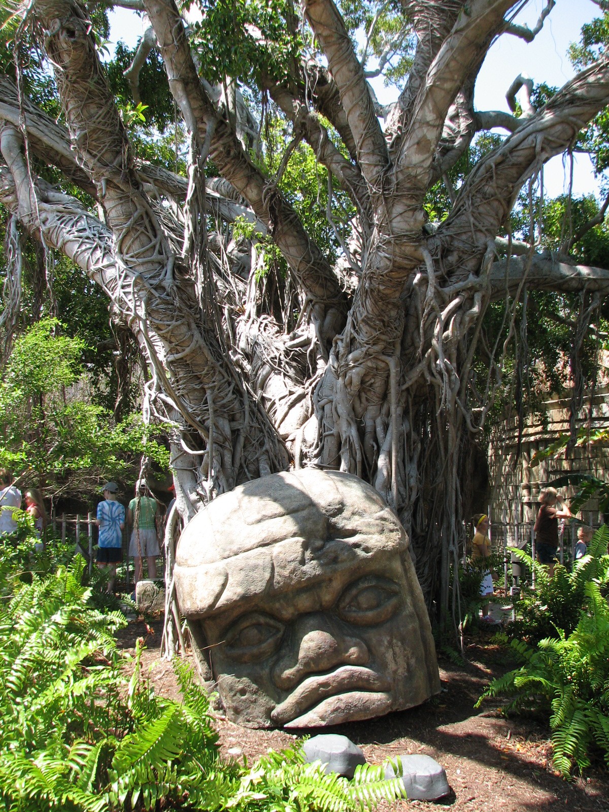 Tropics of the Americas