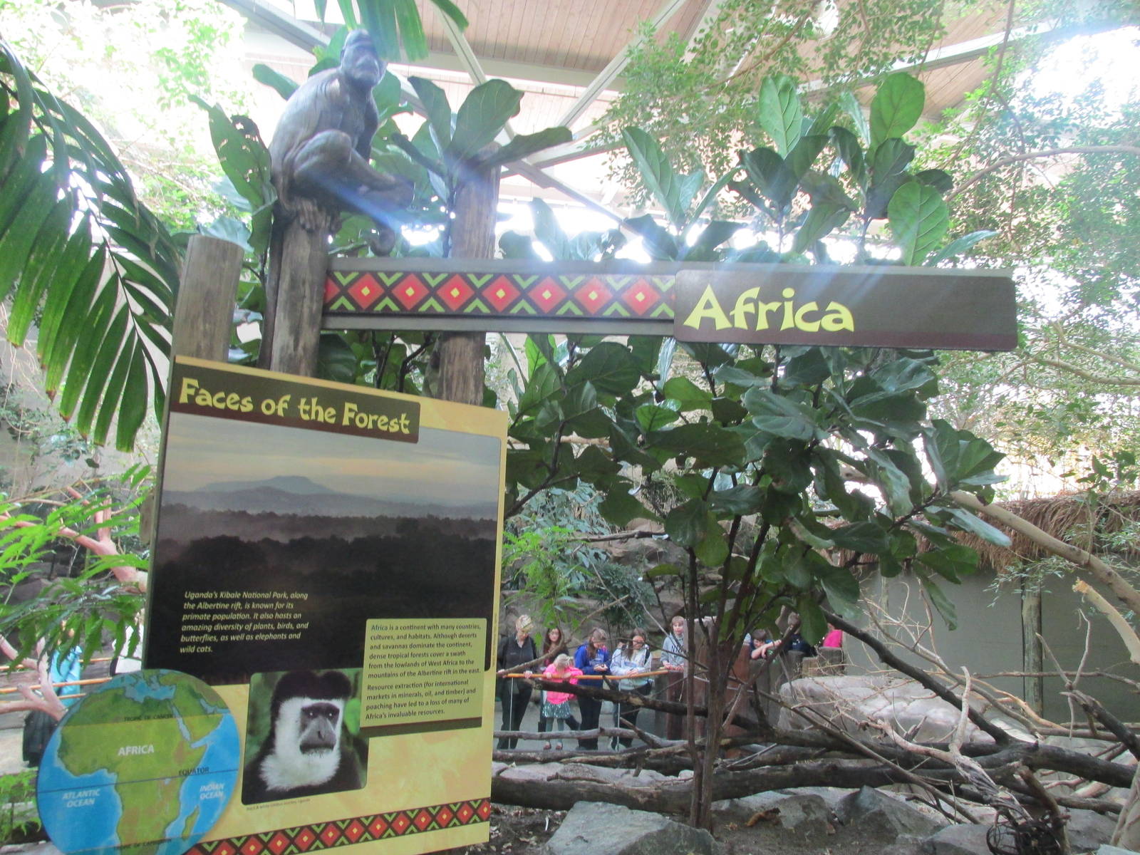 Tropics Trail Africa