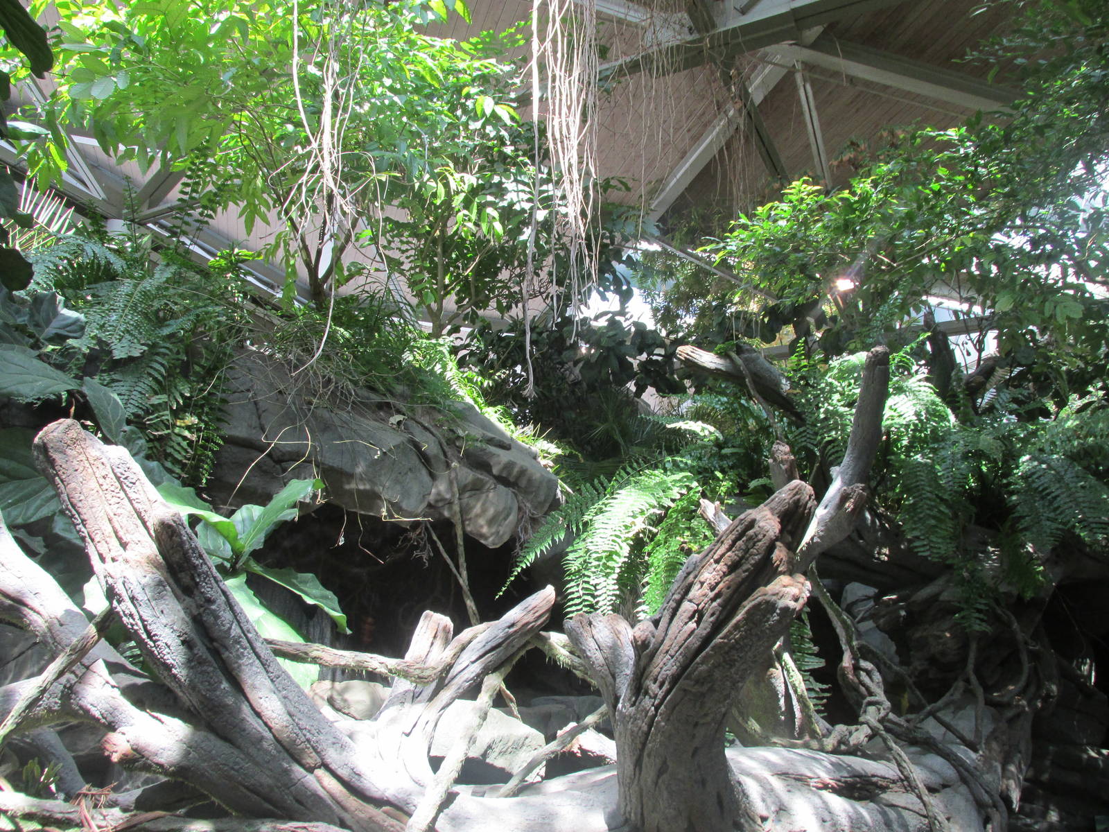 Tropics Trail Africa