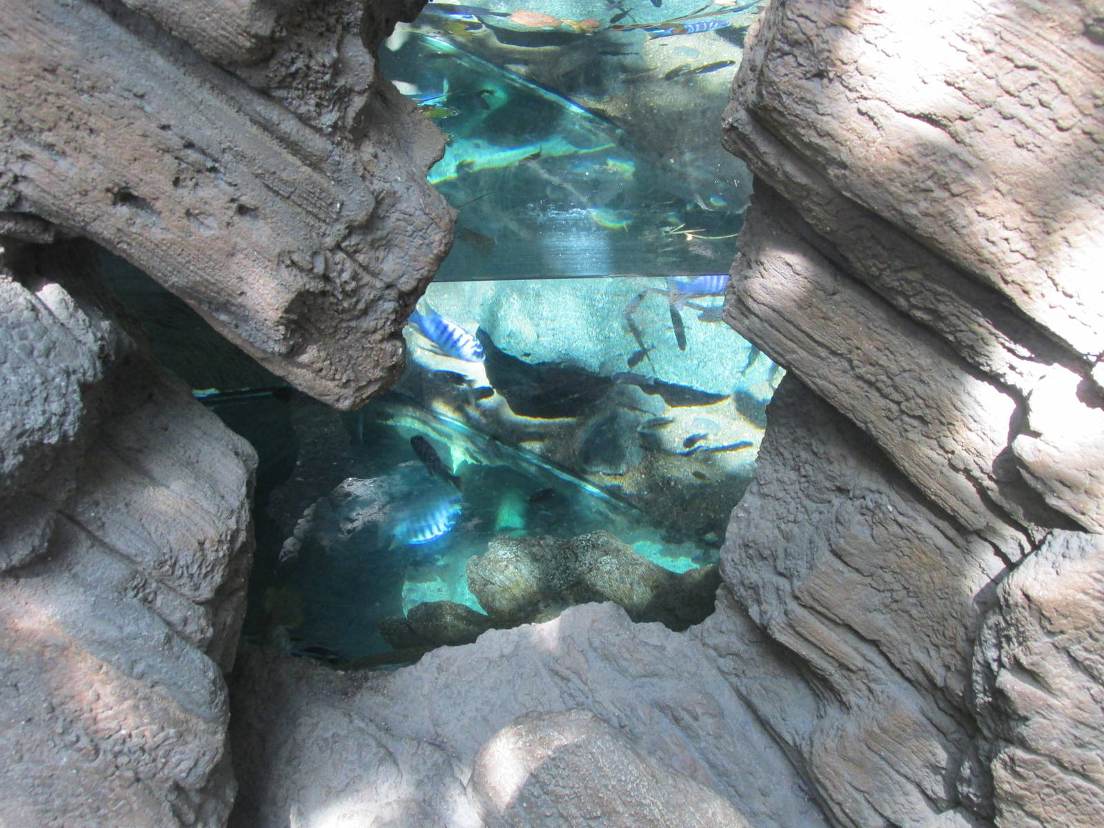 Tropics Trail Africa