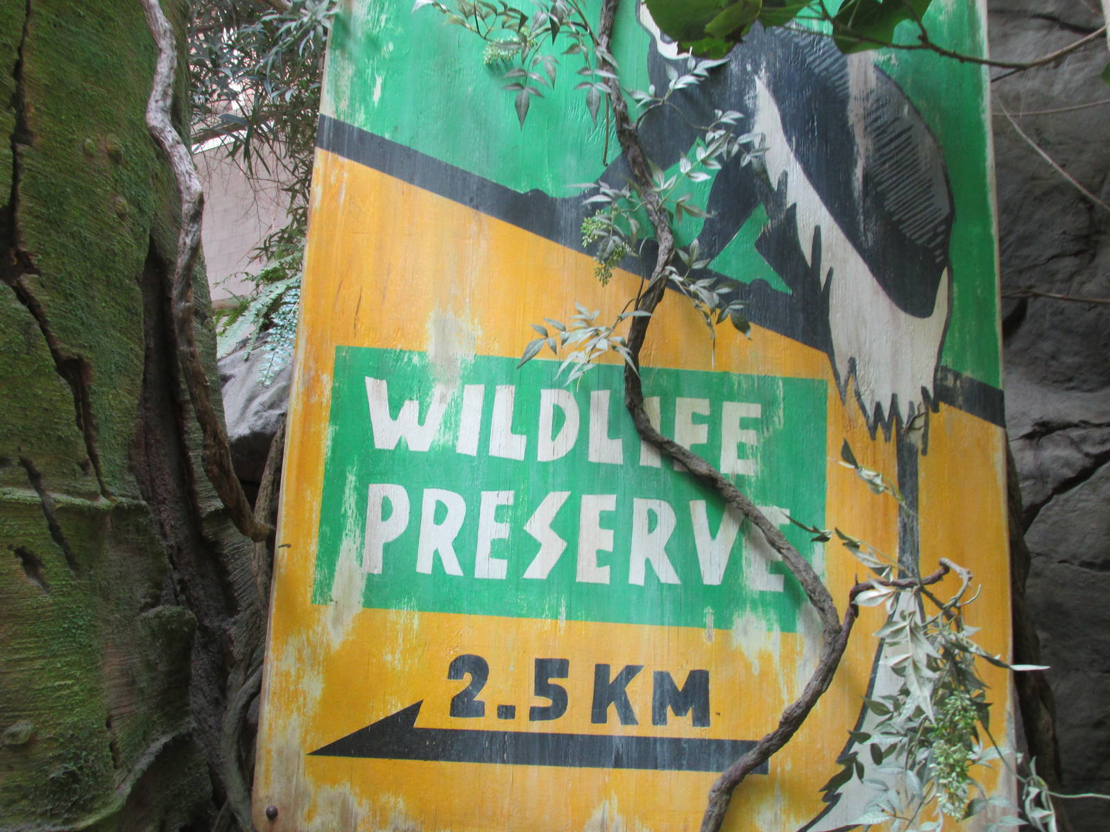 Tropics Trail Africa