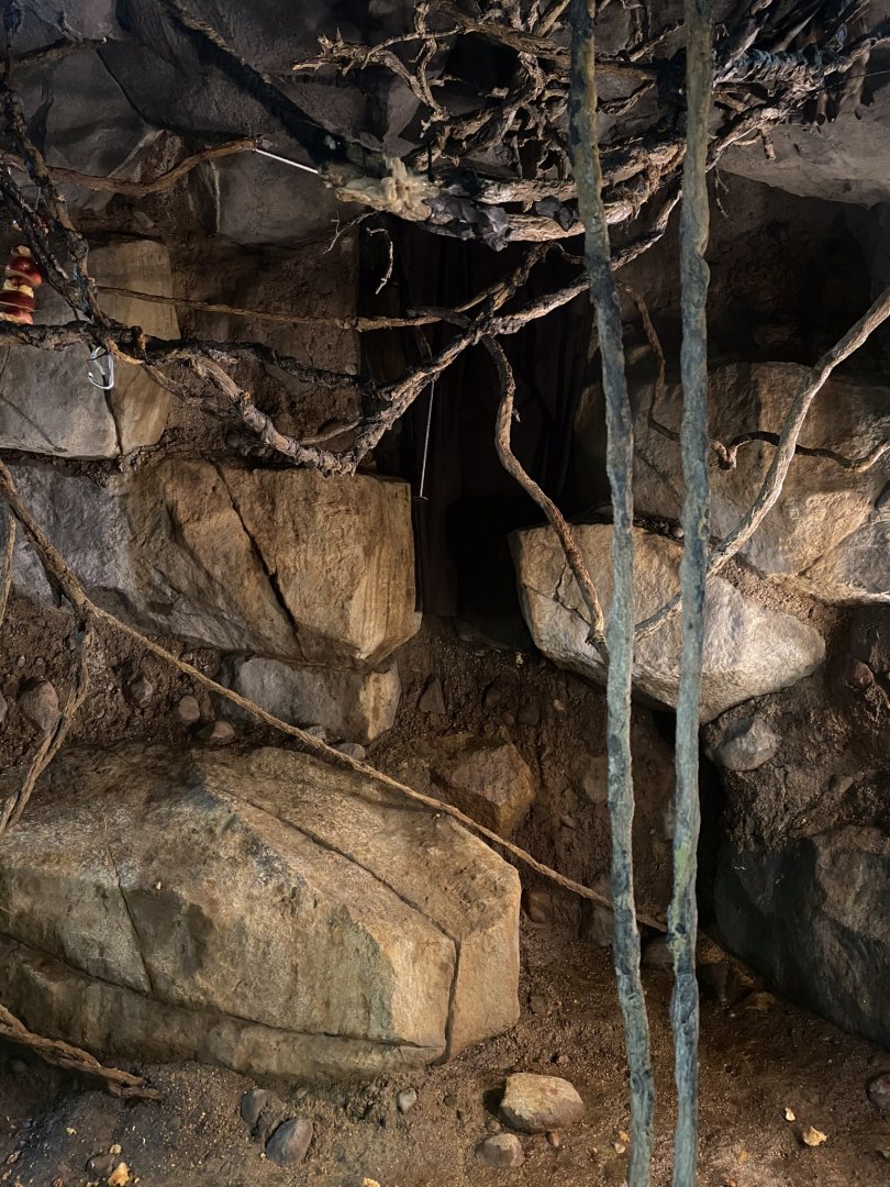 Tropics trail- African fruit bat exhibit