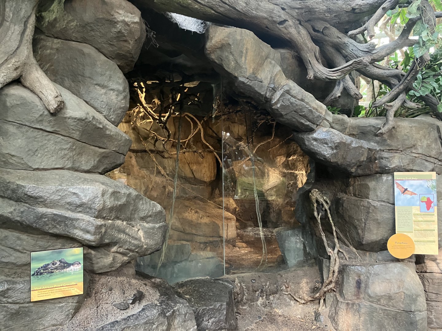 Tropics Trail - African Fruit Bats Exhibit