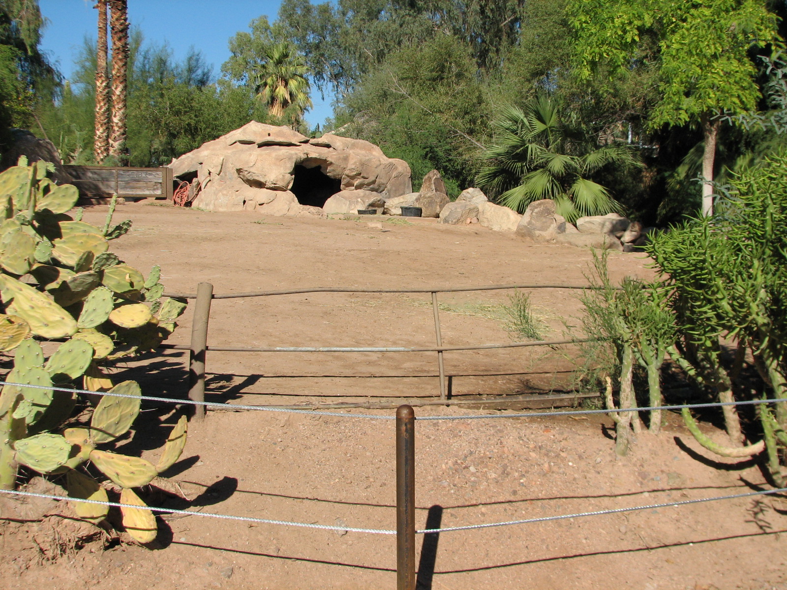 Tropics Trail - Aldabra Tortoise Exhibit 1