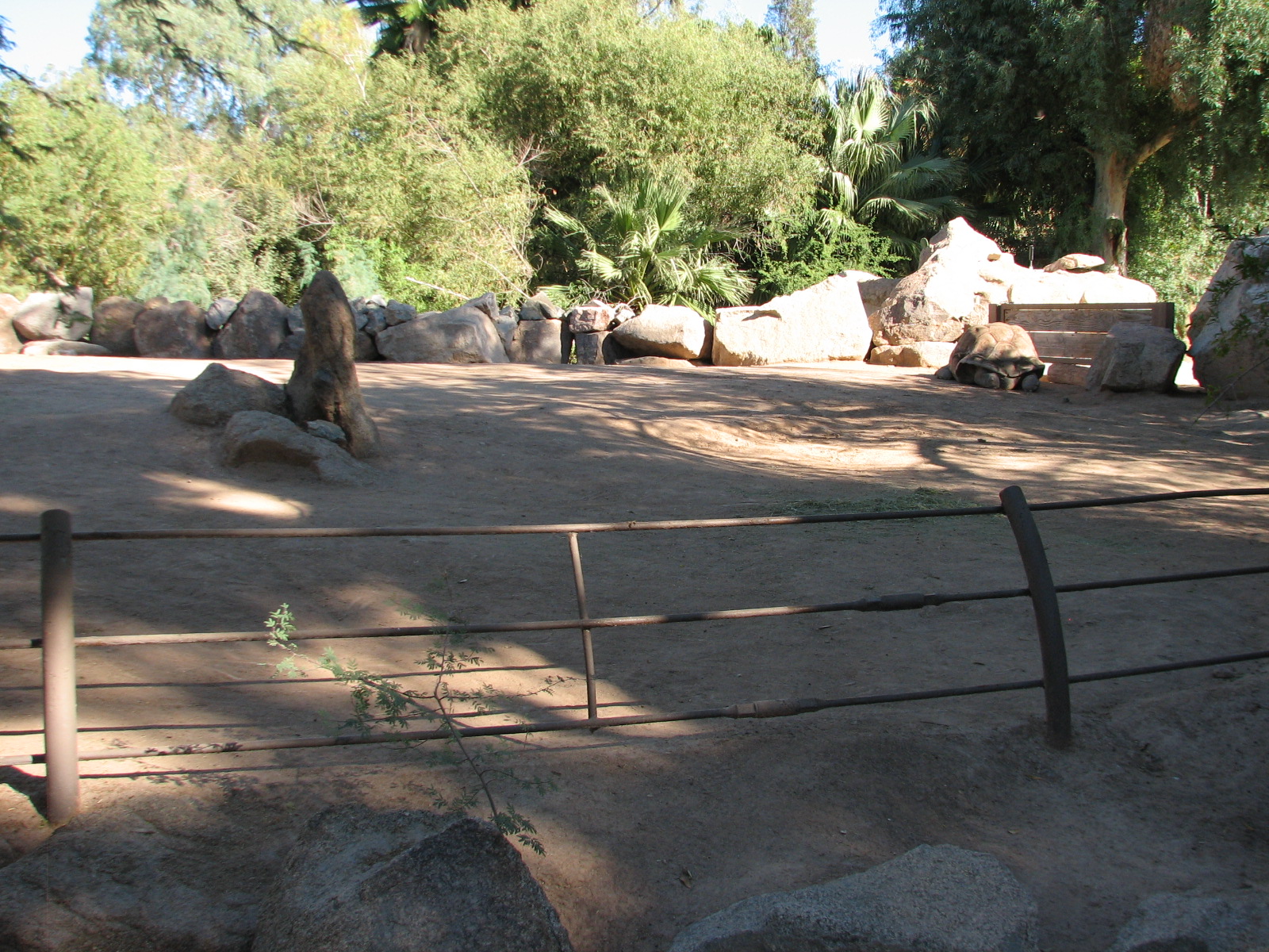 Tropics Trail - Aldabra Tortoise Exhibit 2