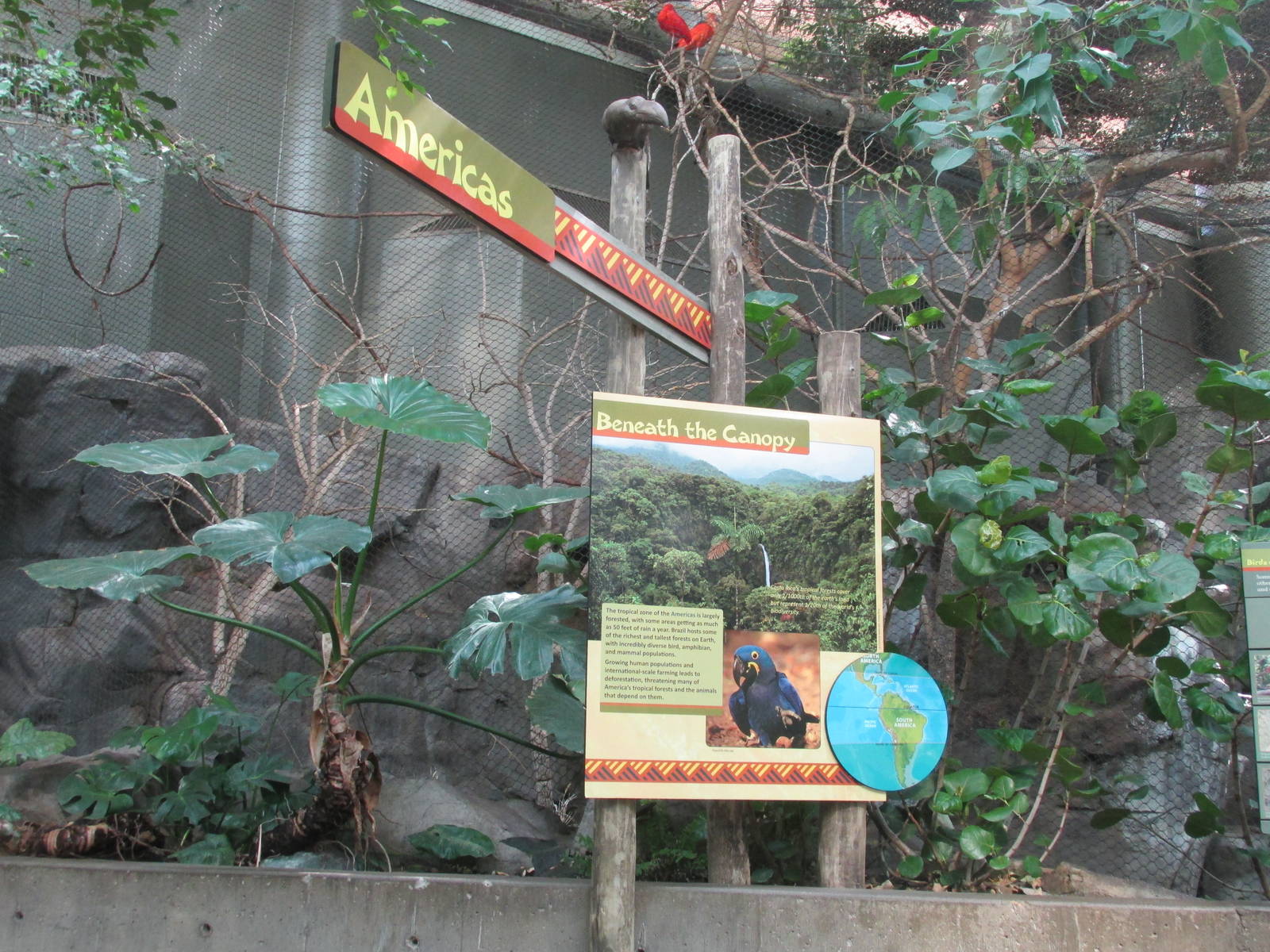 Tropics Trail Americas