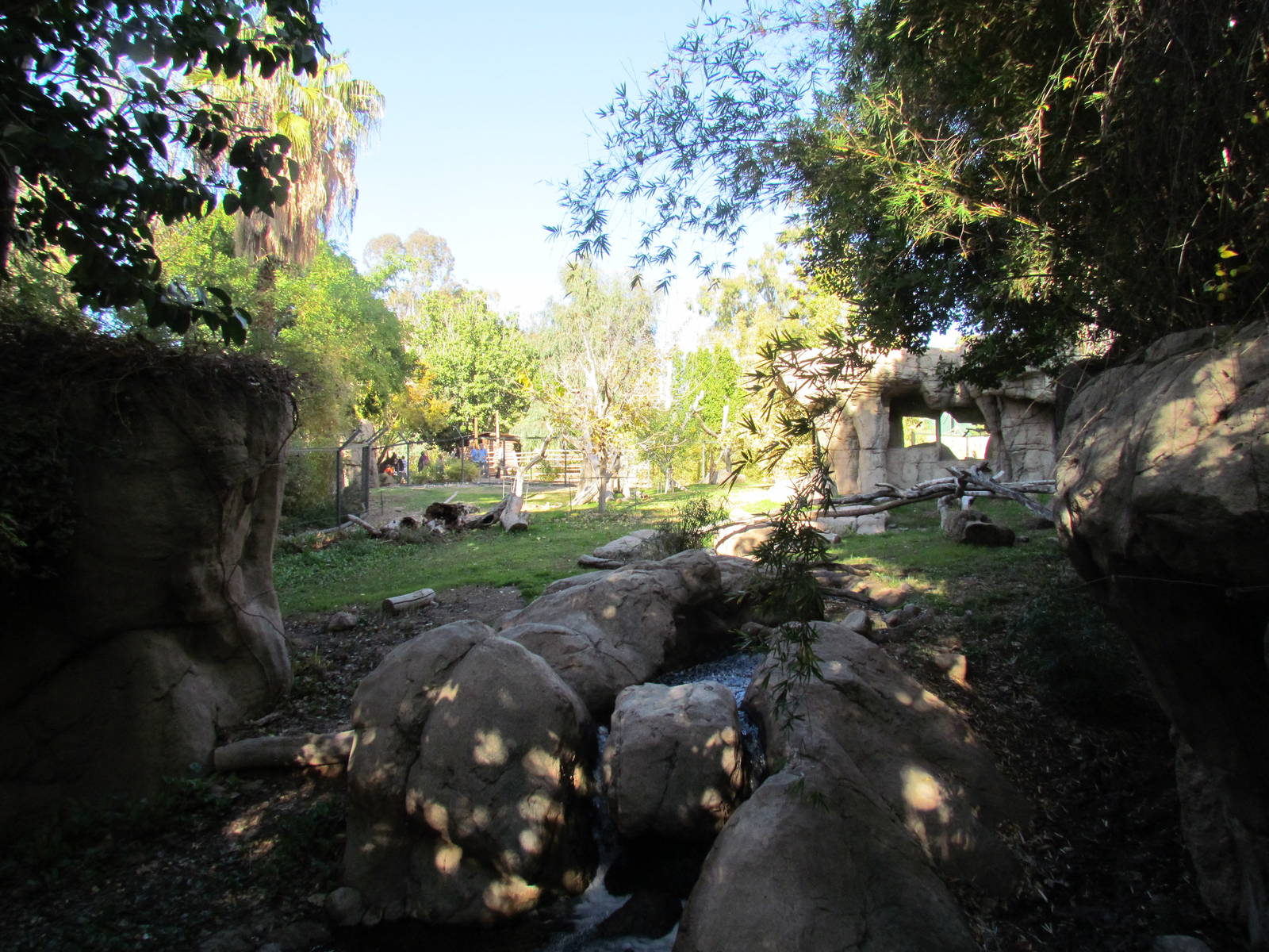 Tropics Trail - Andean Bear Exhibit