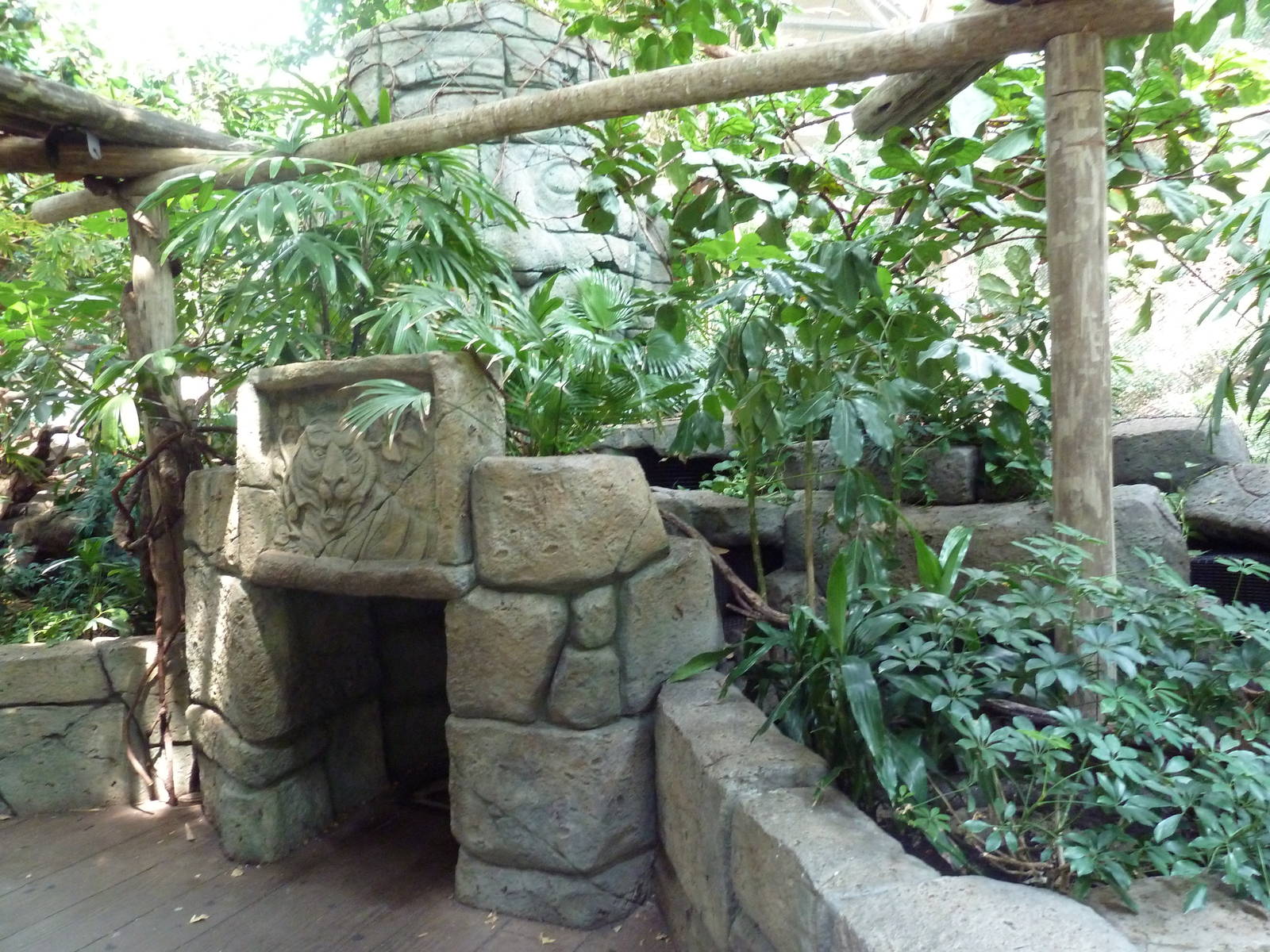 Tropics Trail - Asian Aviary Zone