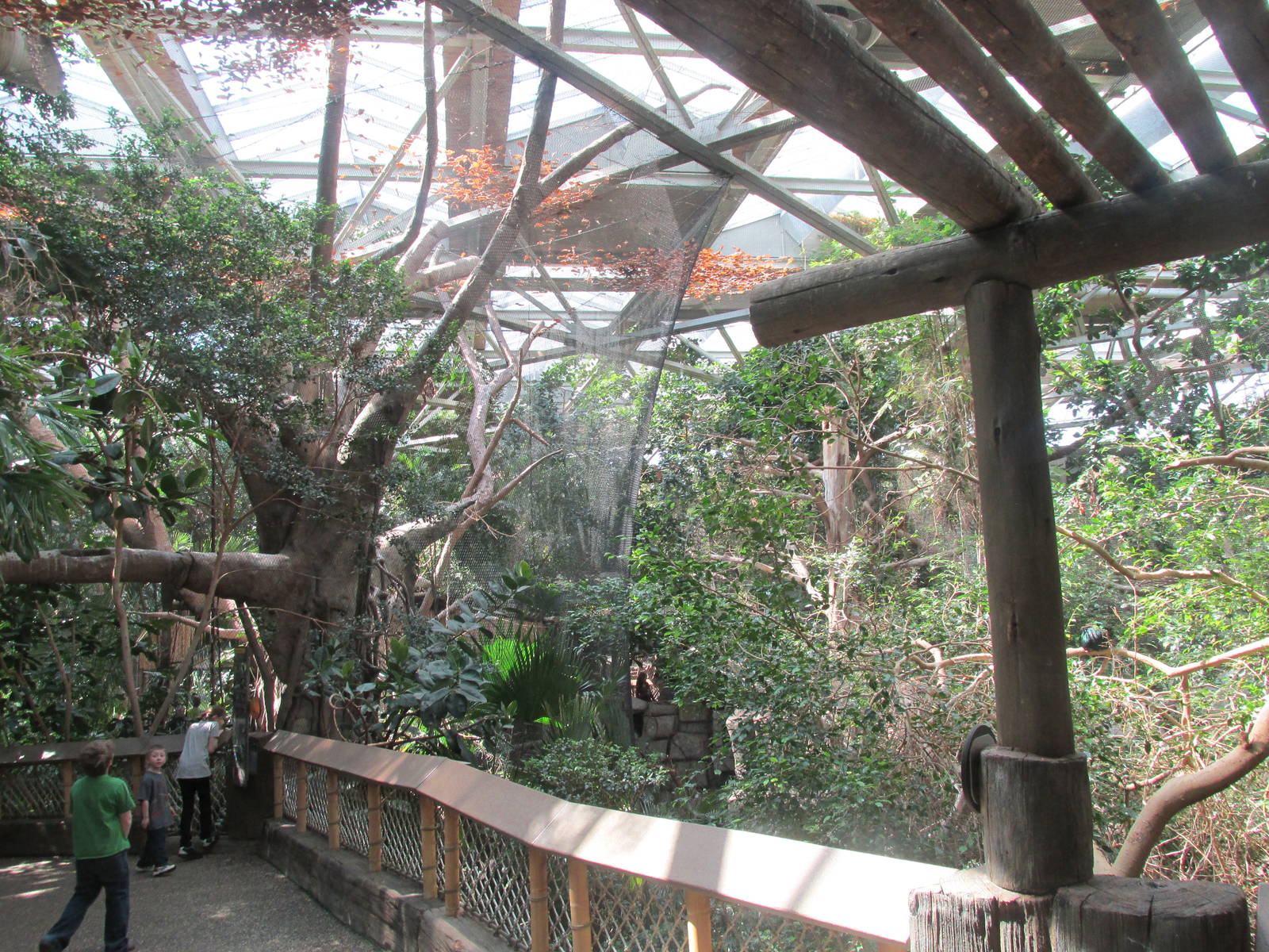Tropics Trail Asian Aviary