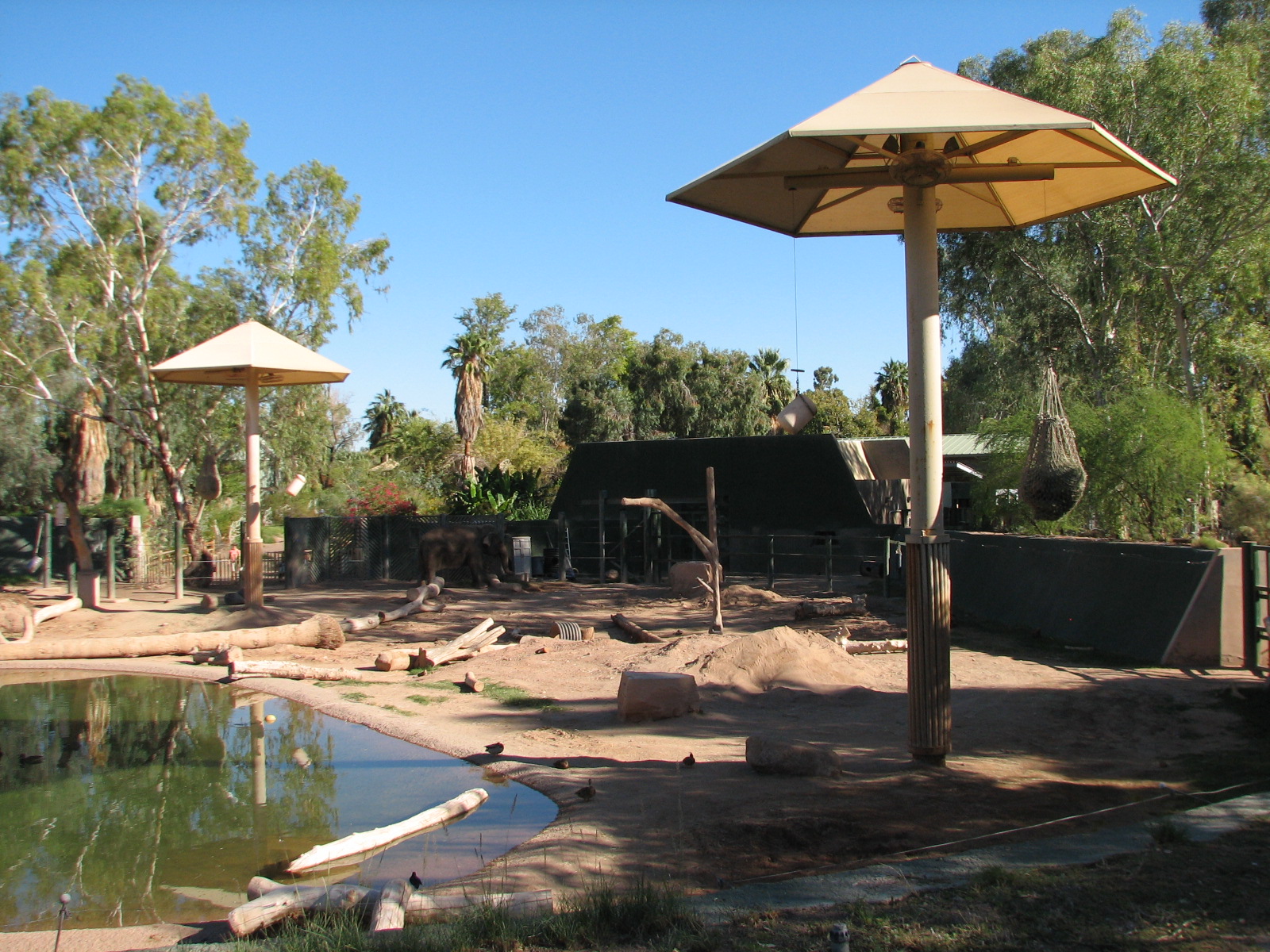 Tropics Trail - Asian Elephant Exhibit