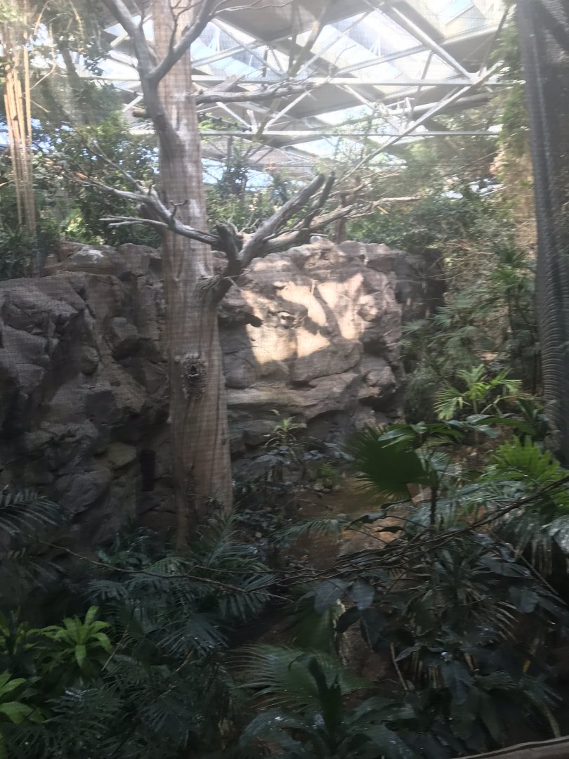 Tropics trail Asian forest aviary