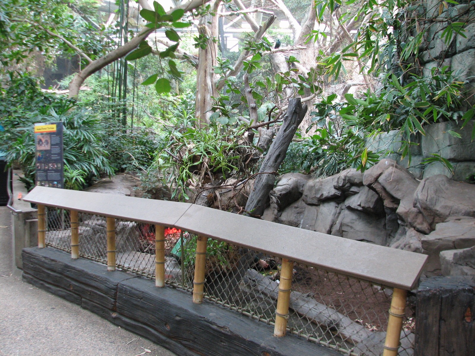 Tropics Trail - Asian Forest Tortoise Exhibit