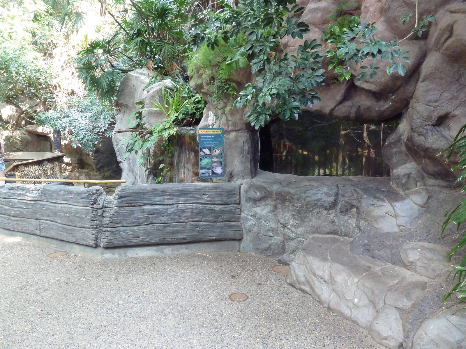 Tropics Trail - Asian Freshwater Fish Exhibit