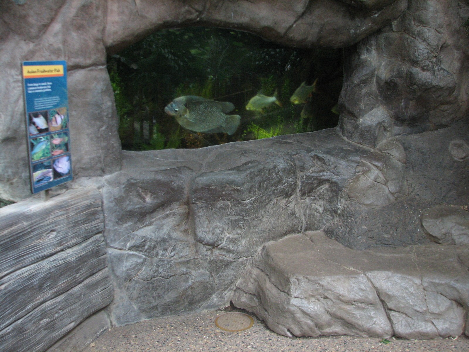 Tropics Trail - Asian Freshwater Fish Exhibit