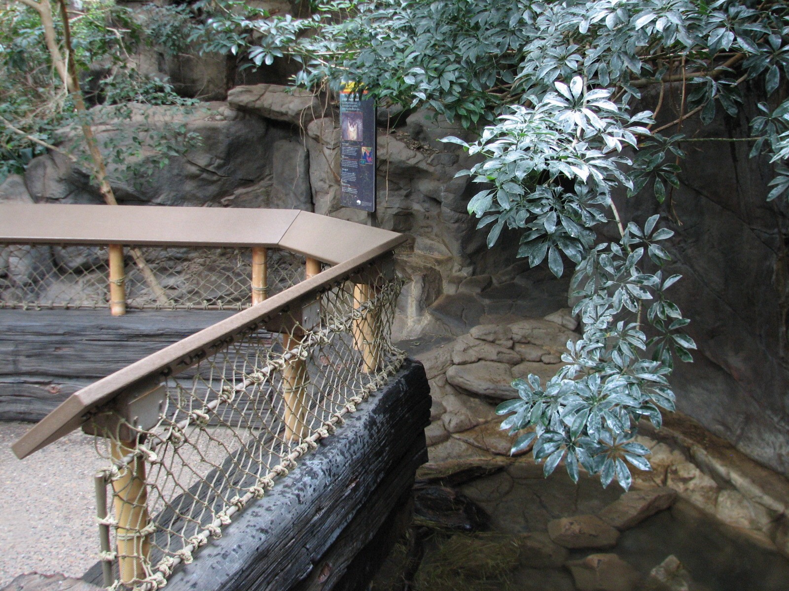 Tropics Trail - Asian Small-clawed Otter Exhibit