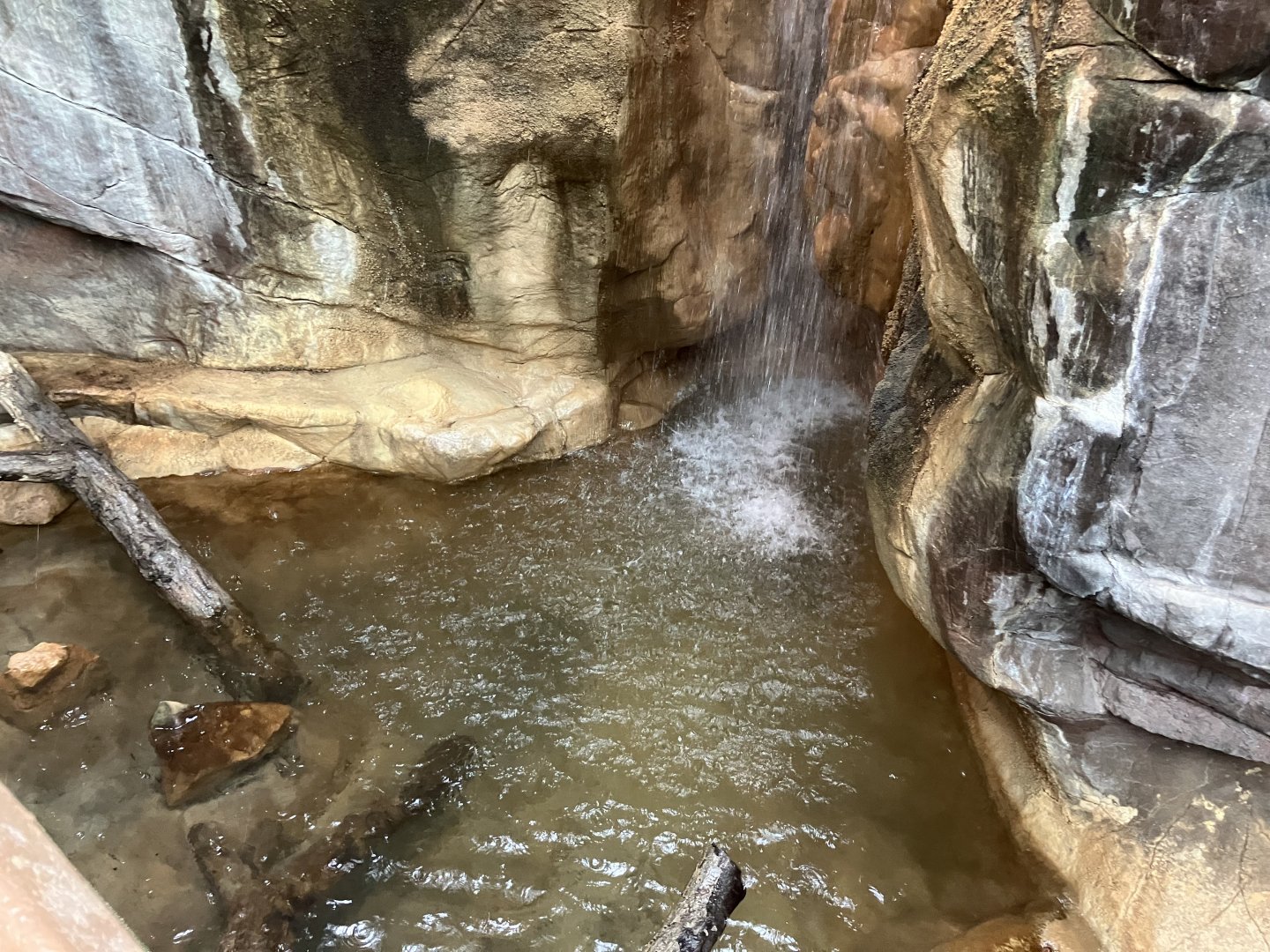 Tropics Trail - Asian Water Monitor Exhibit