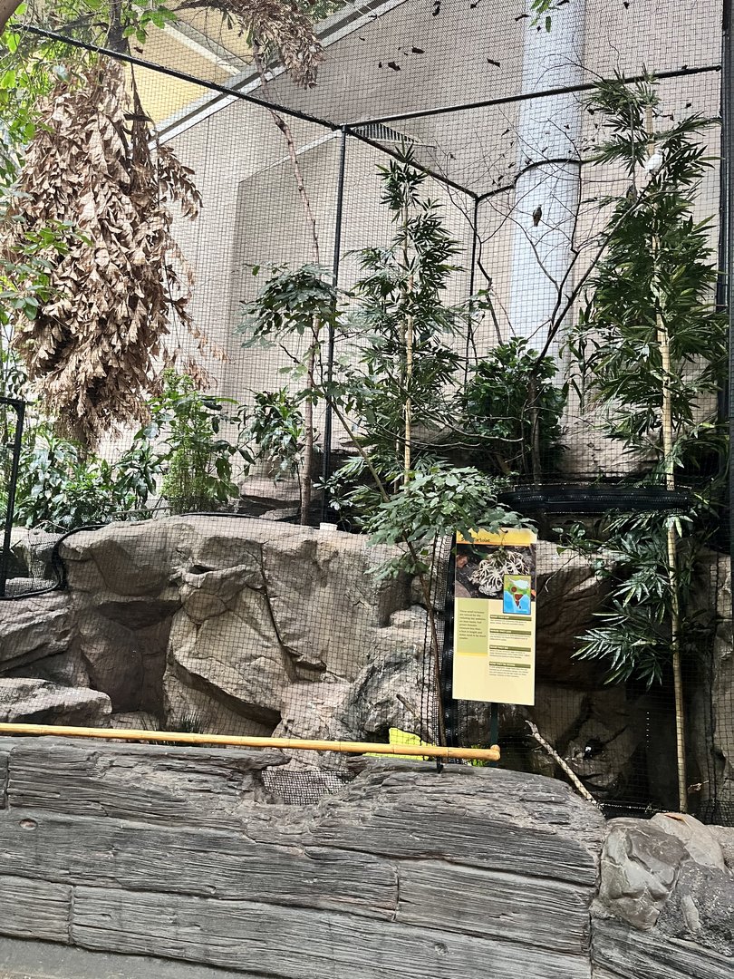 Tropics Trail - Bali Mynah Aviary