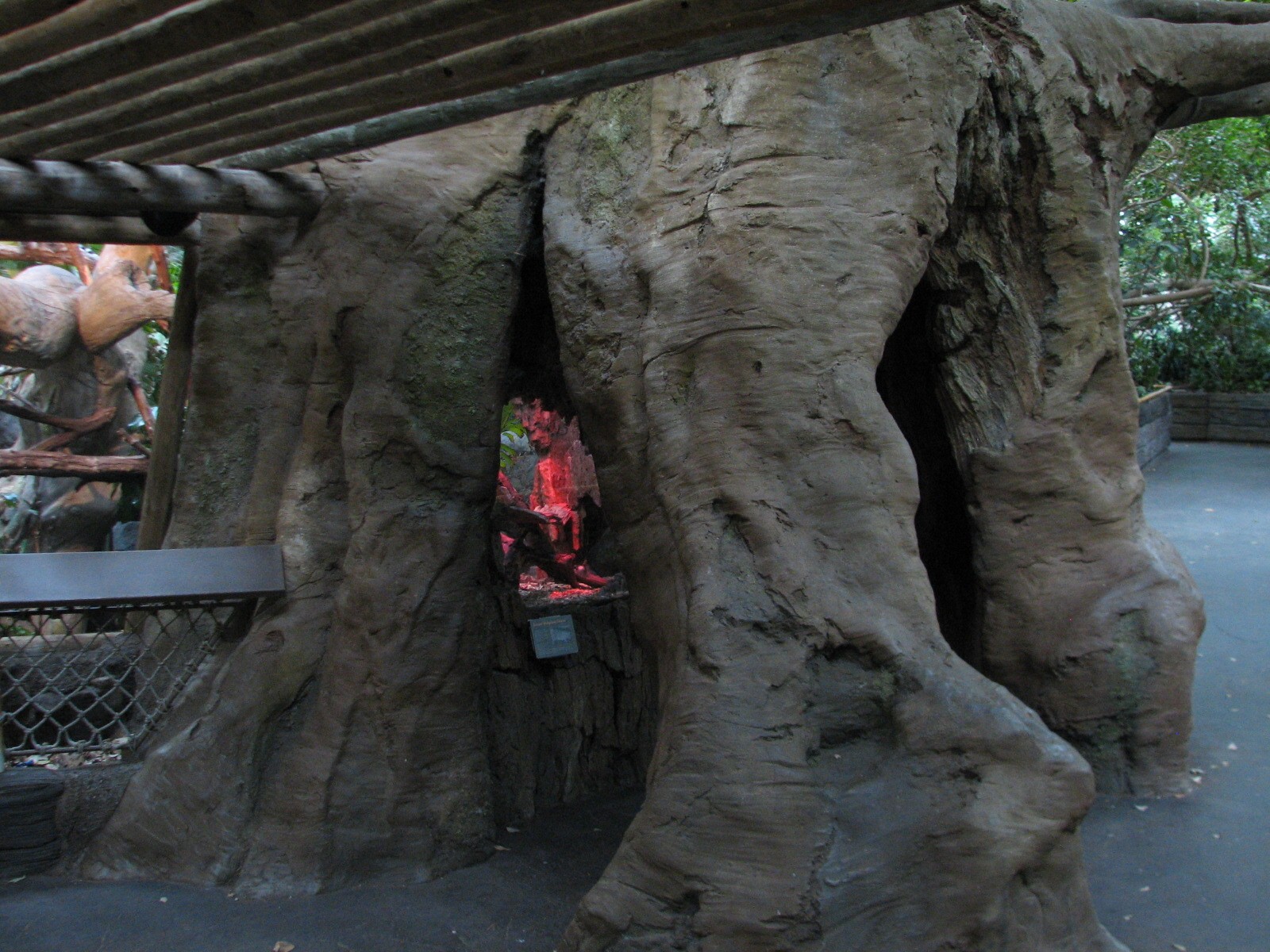 Tropics Trail - Baobab Tree Trunk