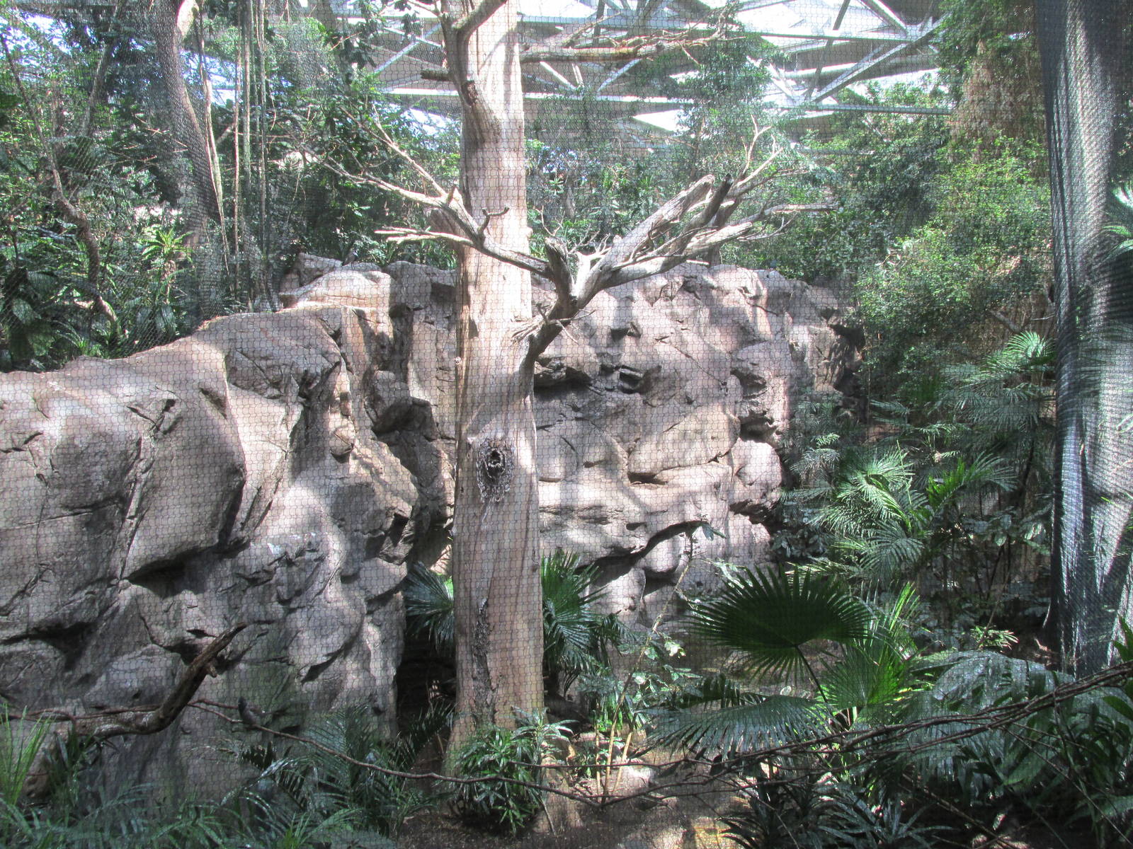 Tropics Trail Bird Aviary
