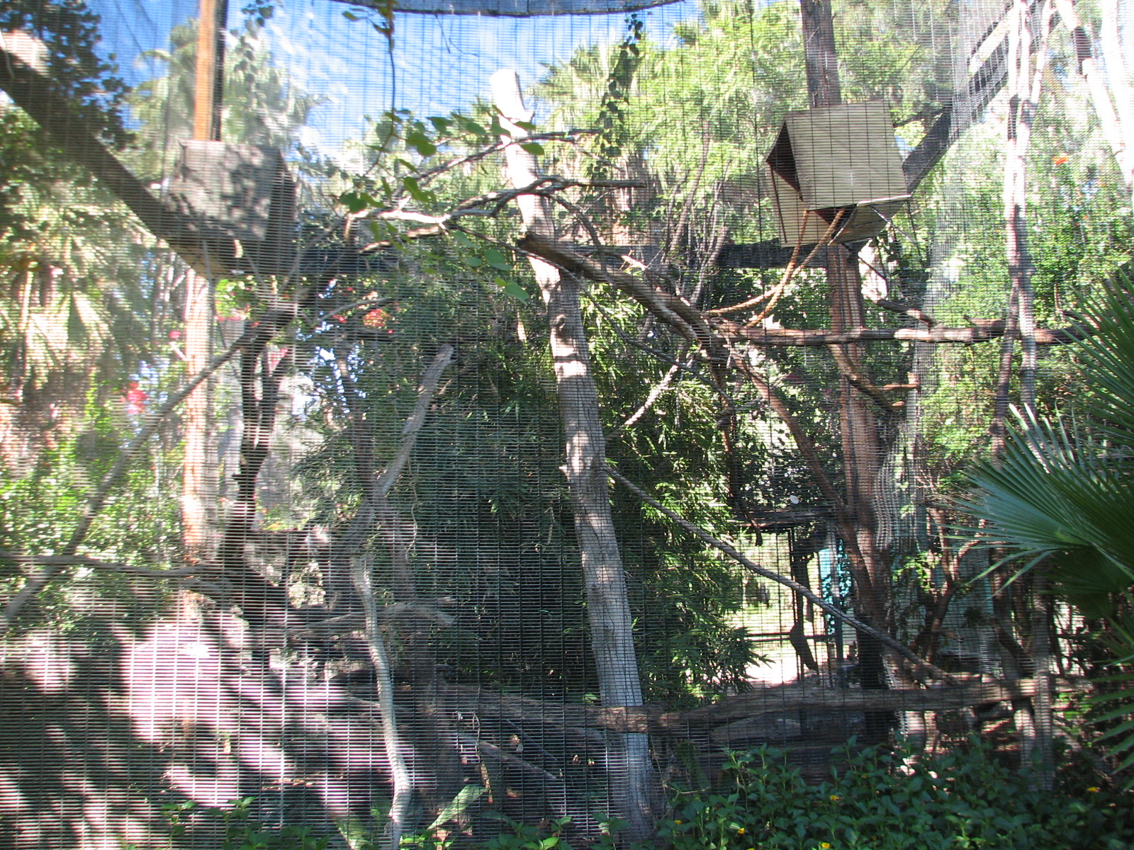 Tropics Trail - Black Howler Monkey Exhibit