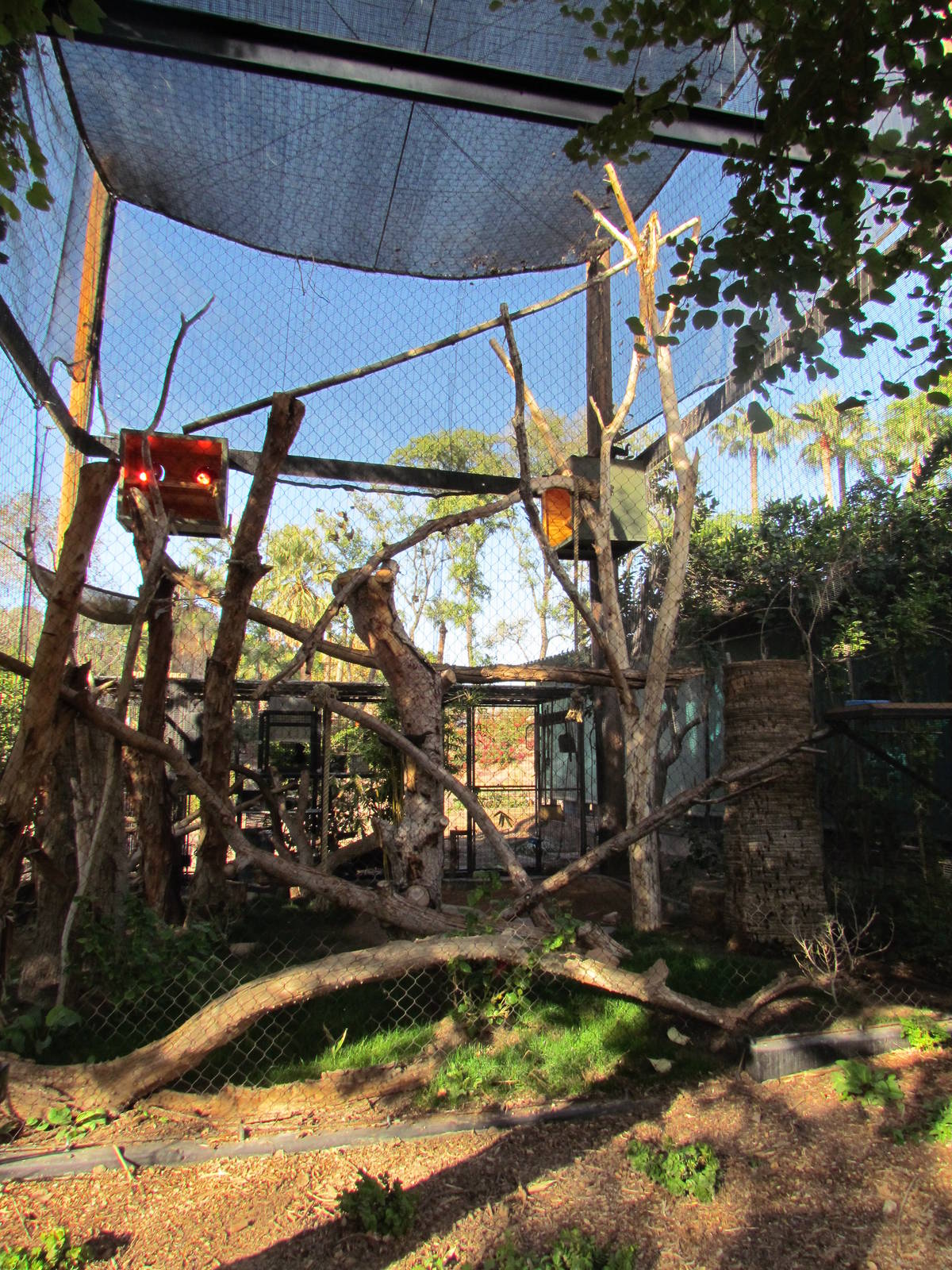 Tropics Trail - Black Howler Monkey Exhibit
