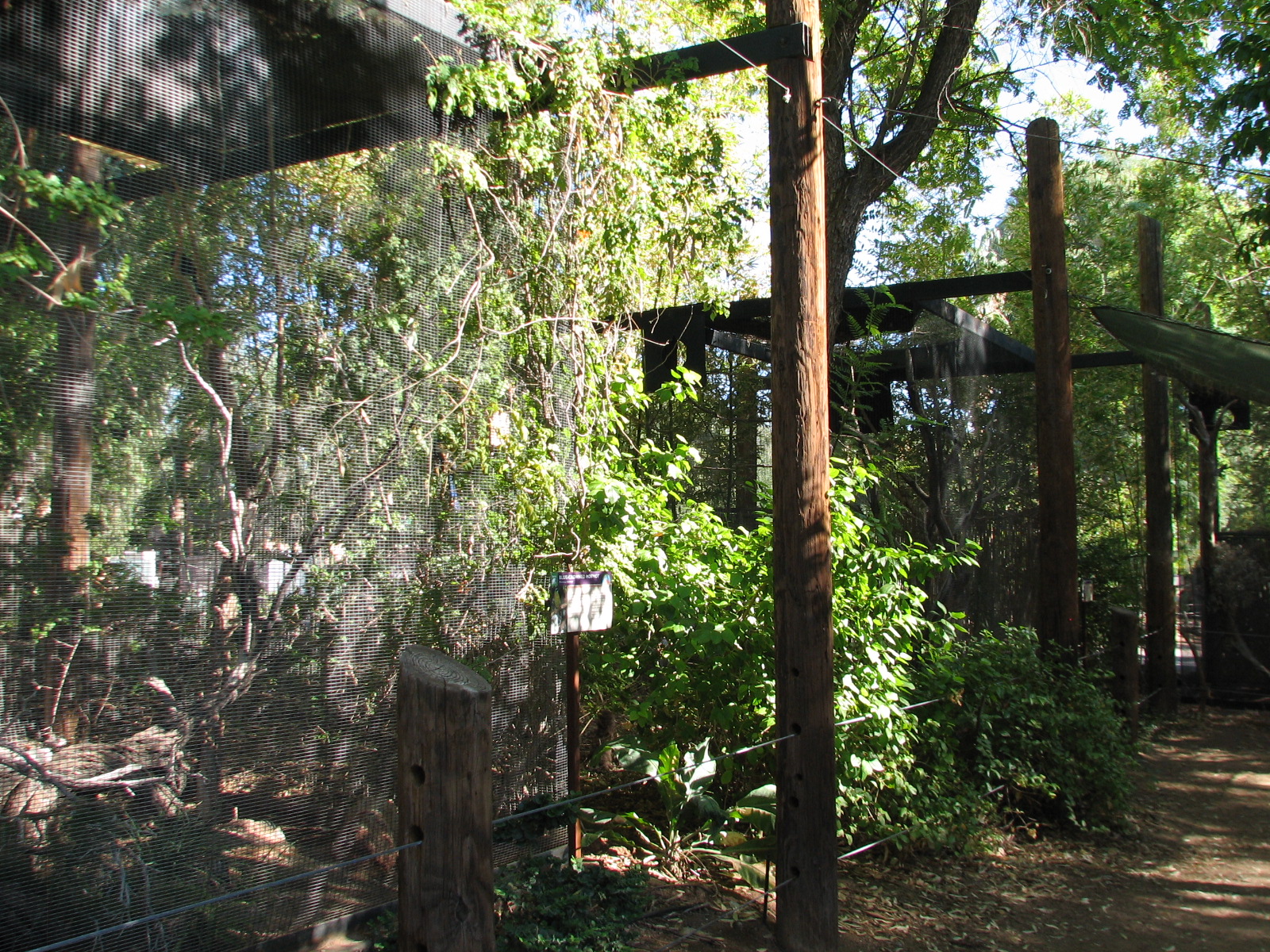 Tropics Trail - Blue-crowned Motmot Exhibit