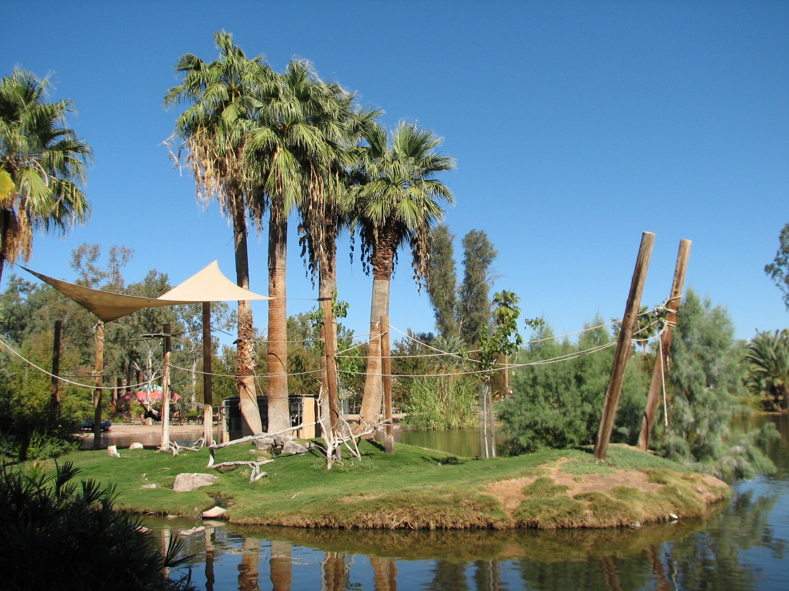 Tropics Trail - Buff-cheeked Gibbon Exhibit