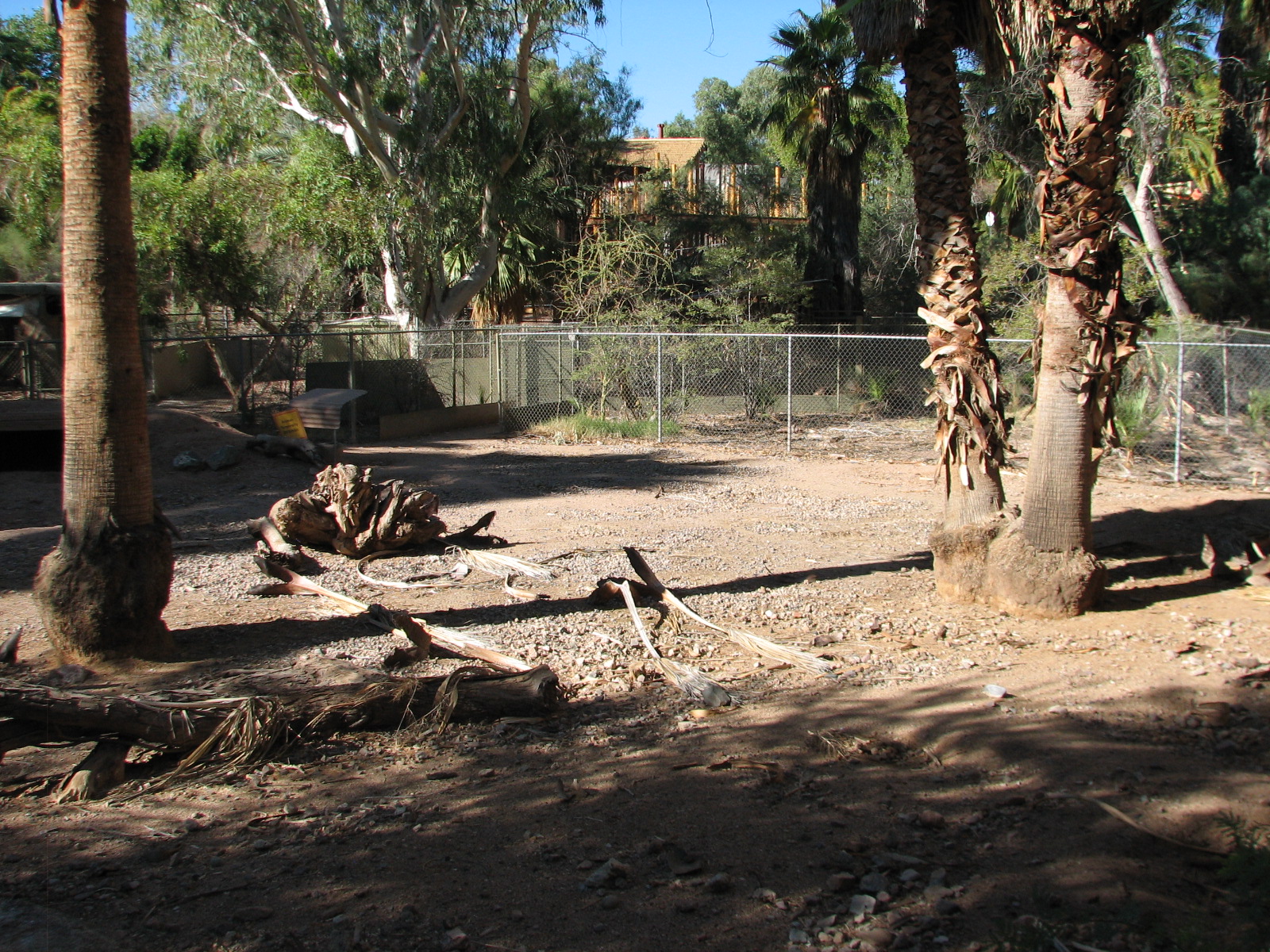 Tropics Trail - Chacoan Peccary Exhibit