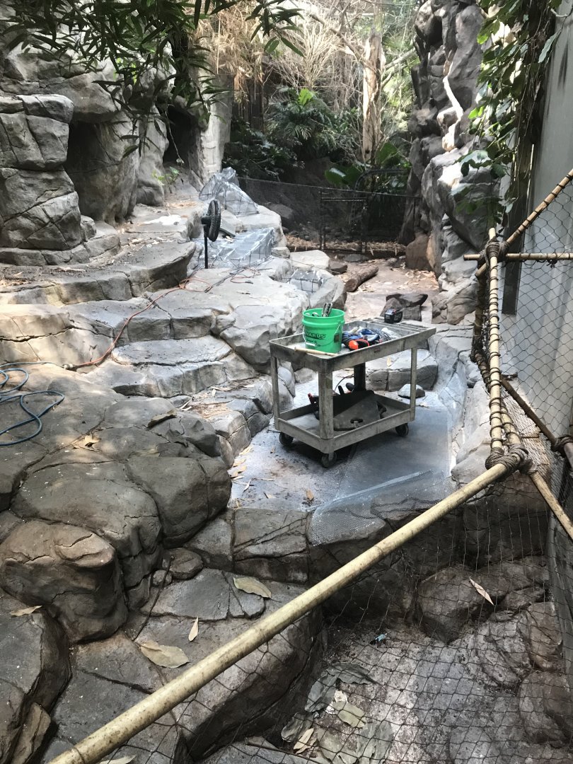 Tropics trail- construction on former Visayan warty pig exhibit