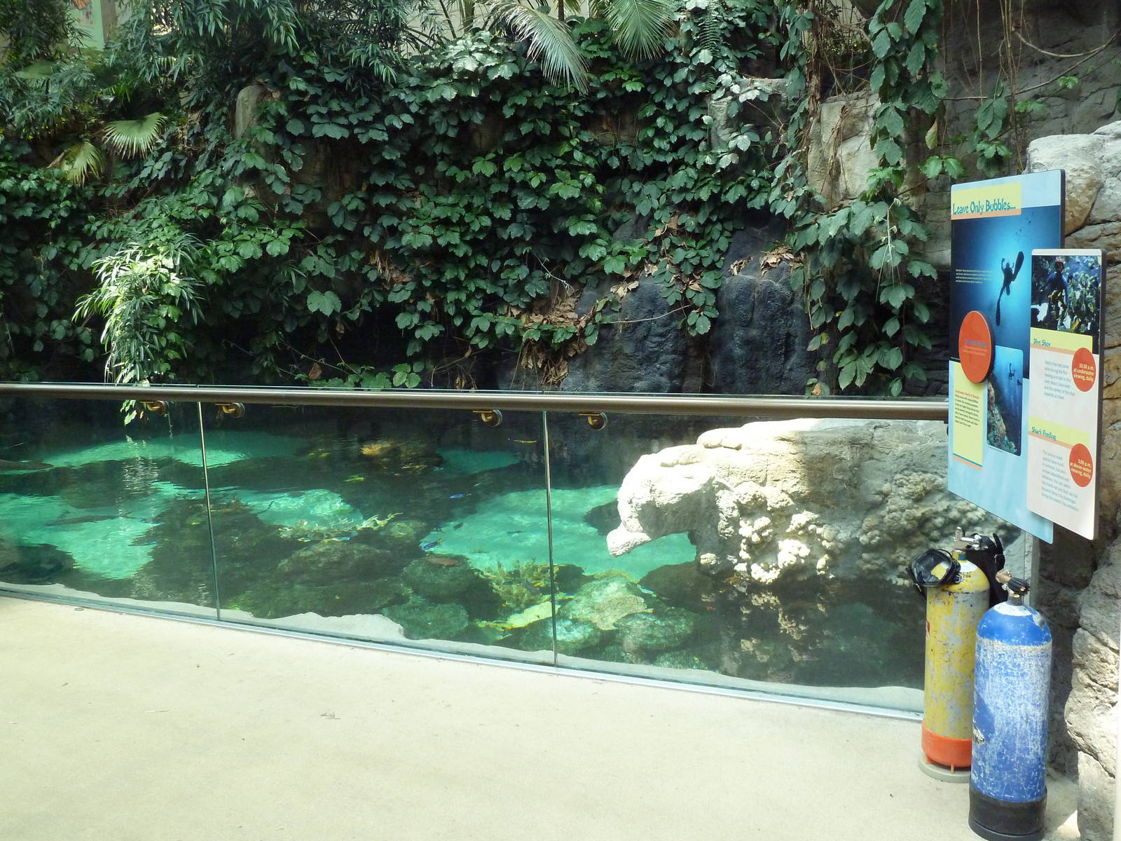 Tropics Trail - Coral Reef Exhibit