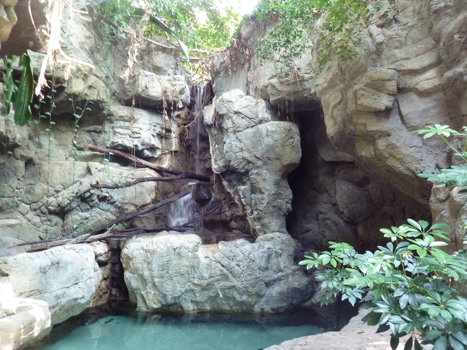 Tropics Trail - Coral Reef Exhibit
