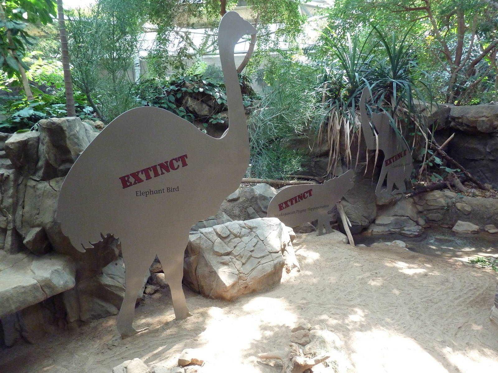 Tropics Trail - Extinct Exhibit (and Radiated Tortoises)