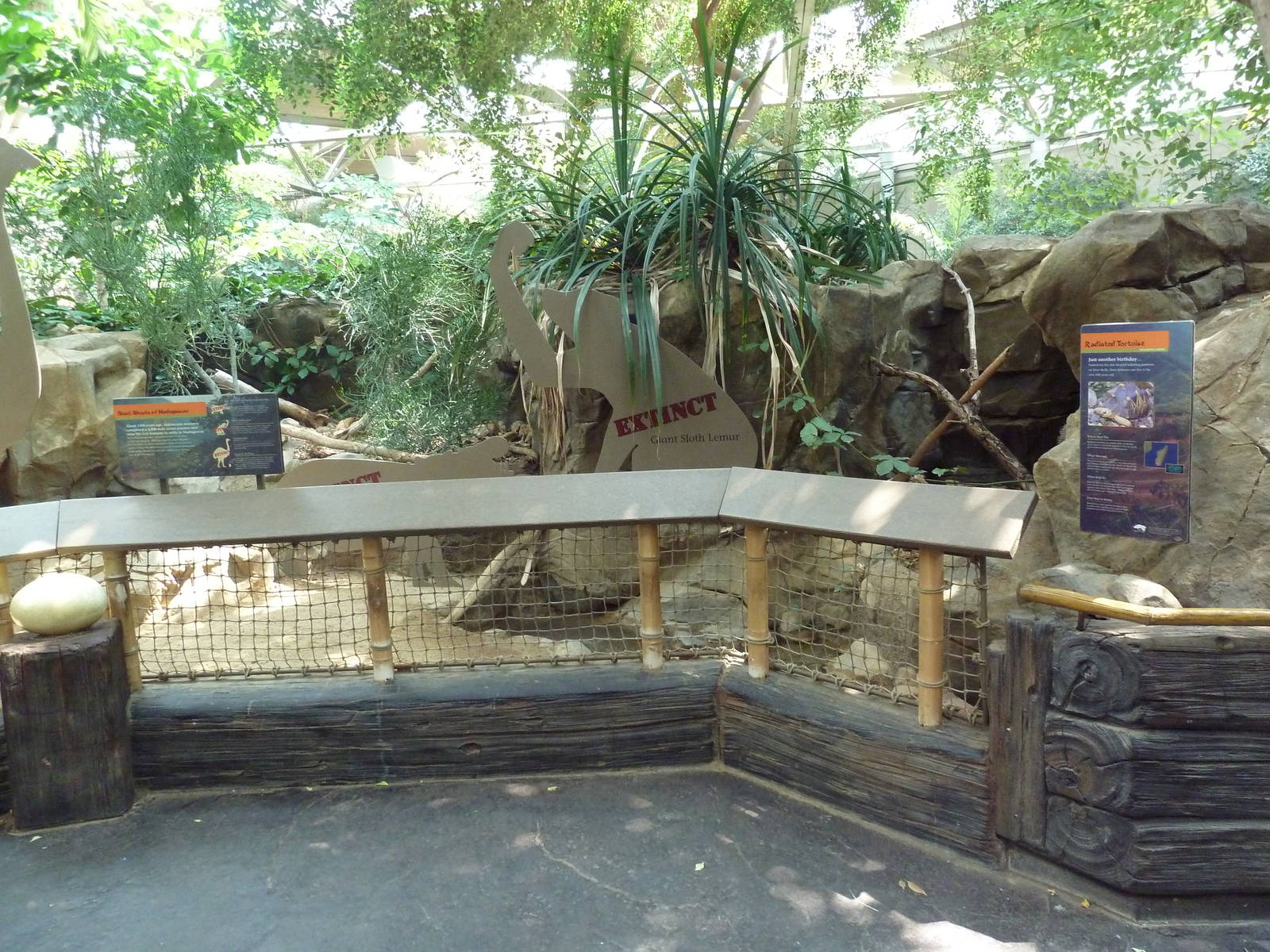 Tropics Trail - Extinct Exhibit (and Radiated Tortoises)