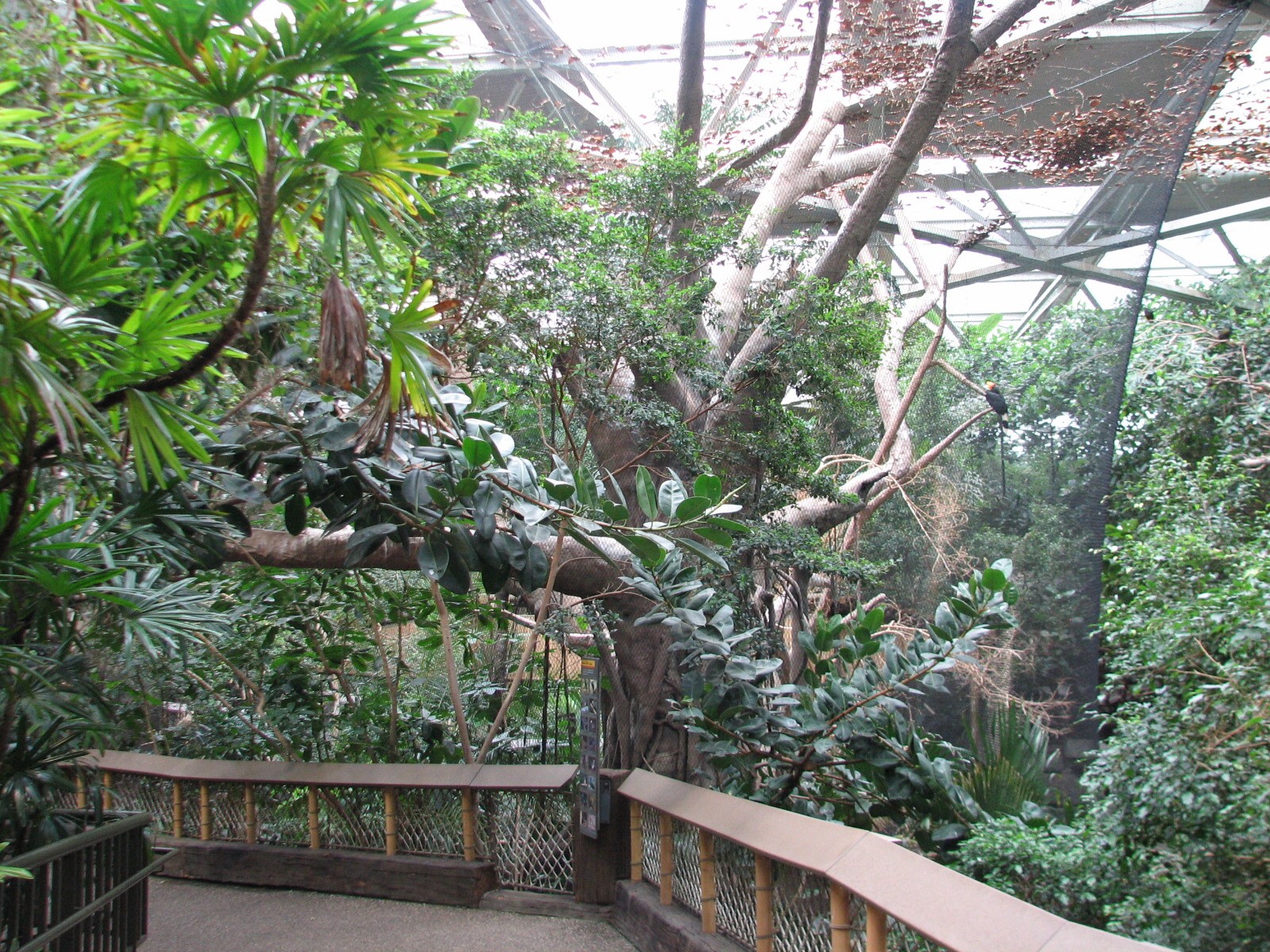 Tropics Trail - Flight Zone - Interior