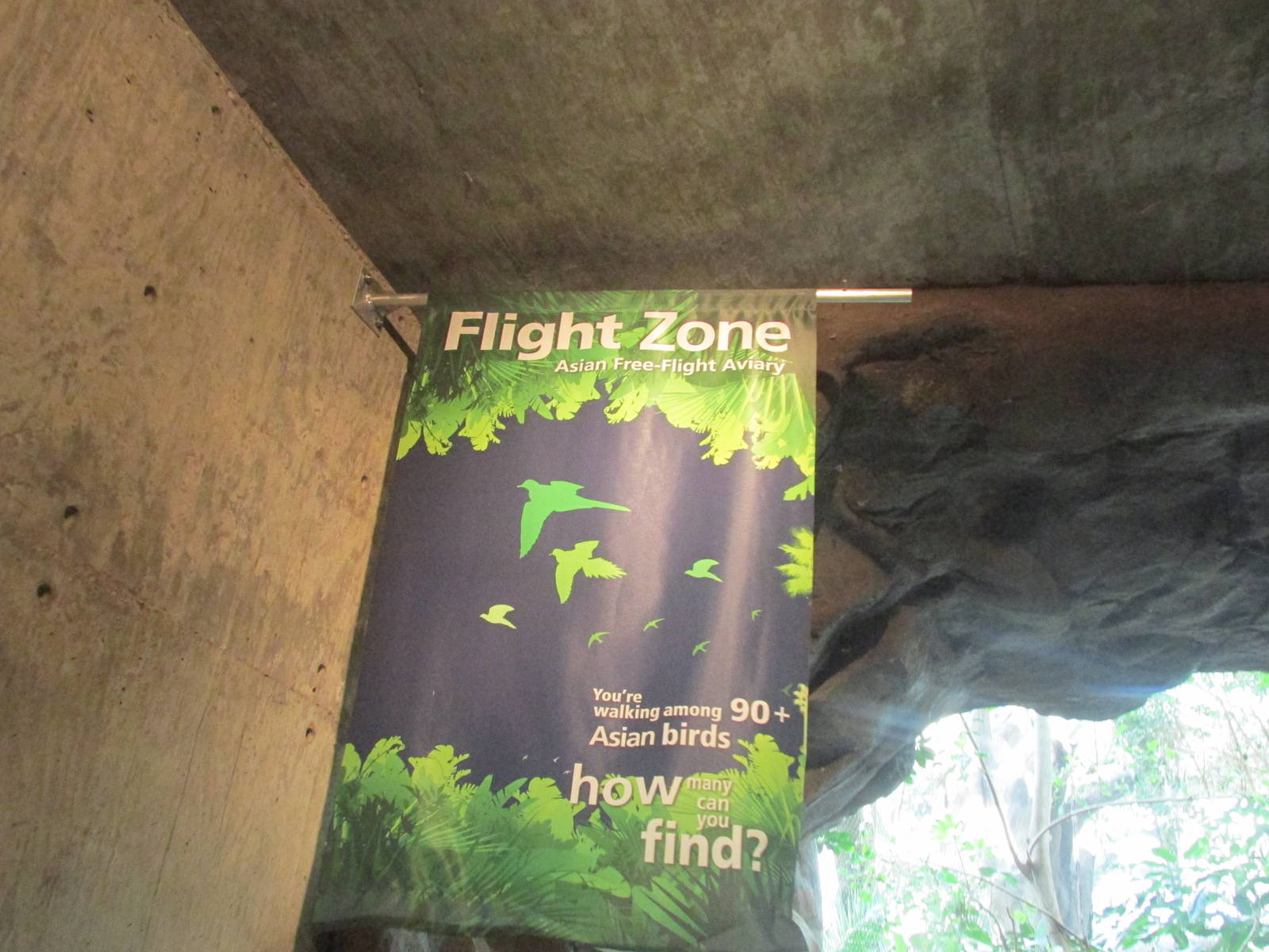 Tropics Trail Flight Zone
