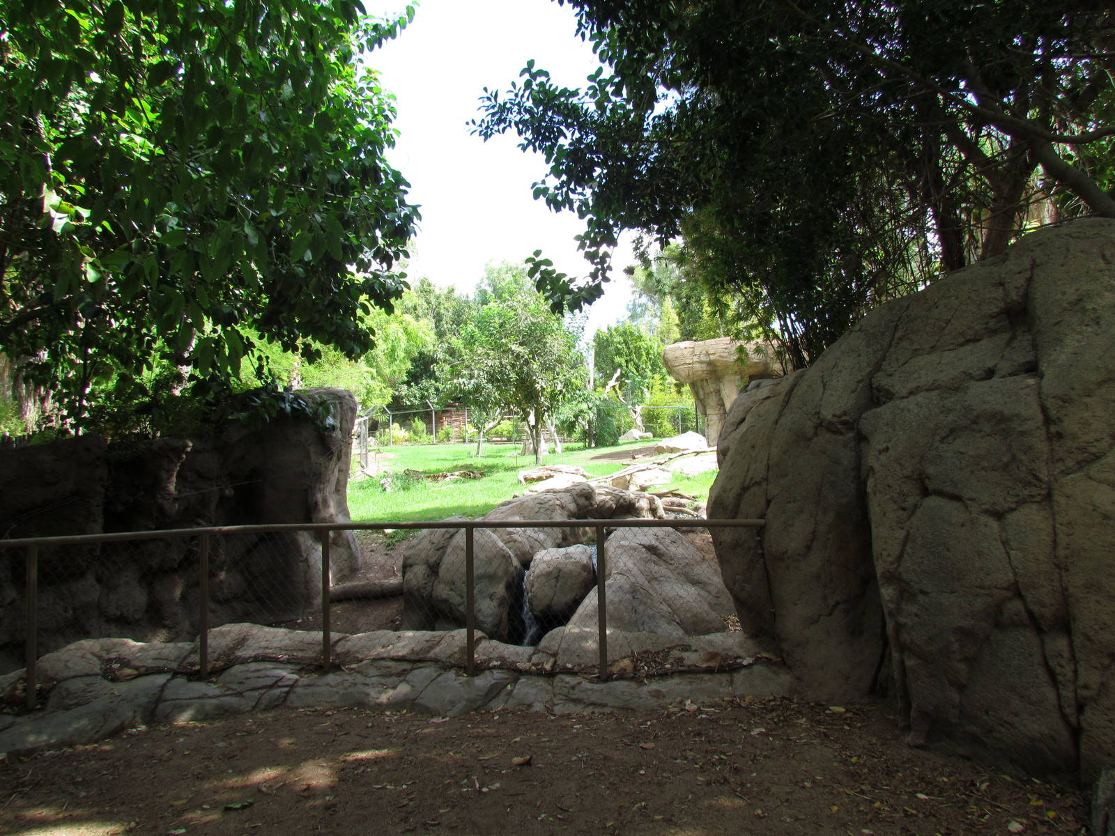 Tropics Trail - Forest of Uco