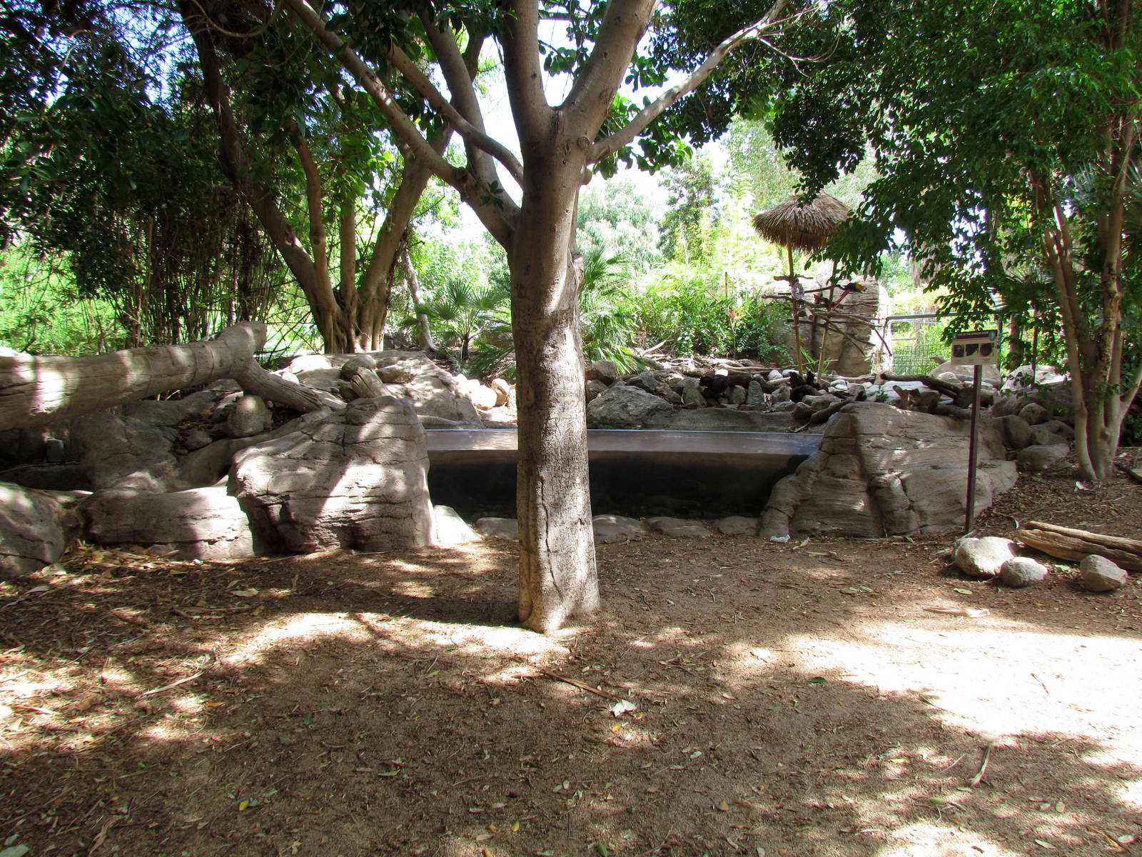 Tropics Trail - Forest of Uco