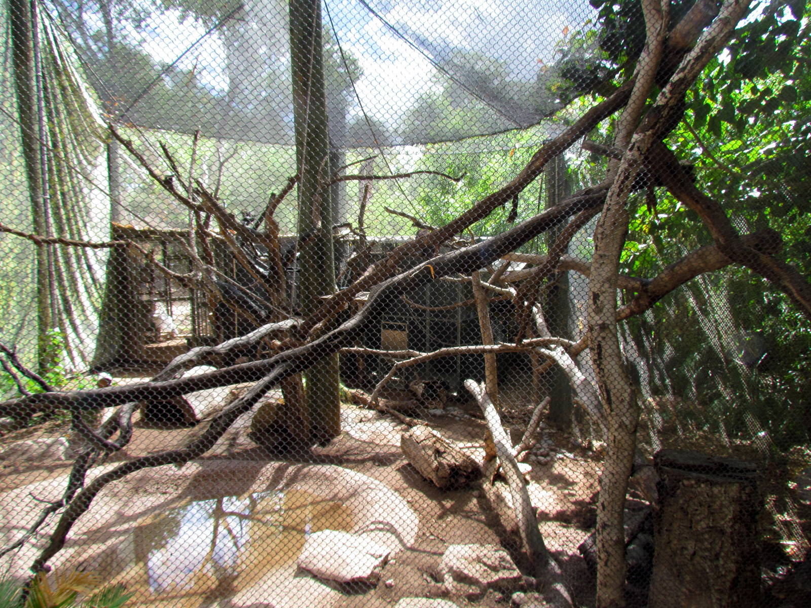 Tropics Trail - Forest of Uco