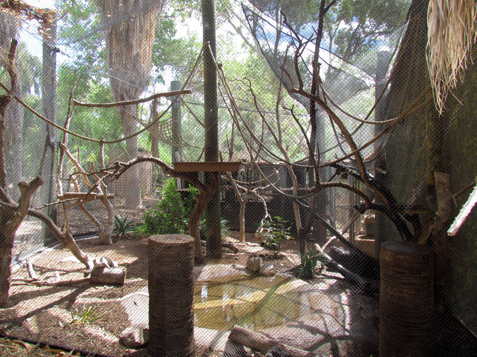 Tropics Trail - Forest of Uco