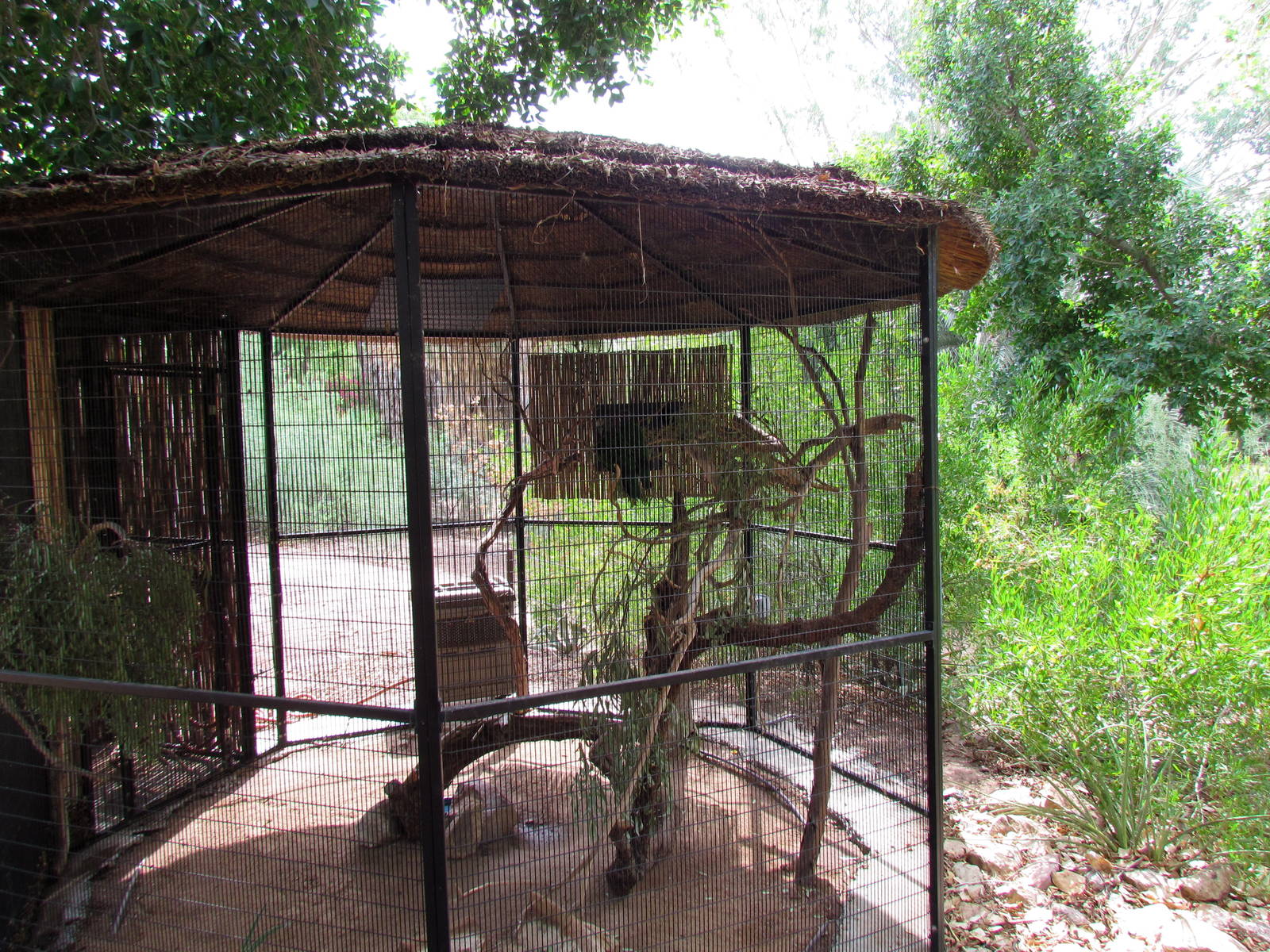 Tropics Trail - Forest of Uco