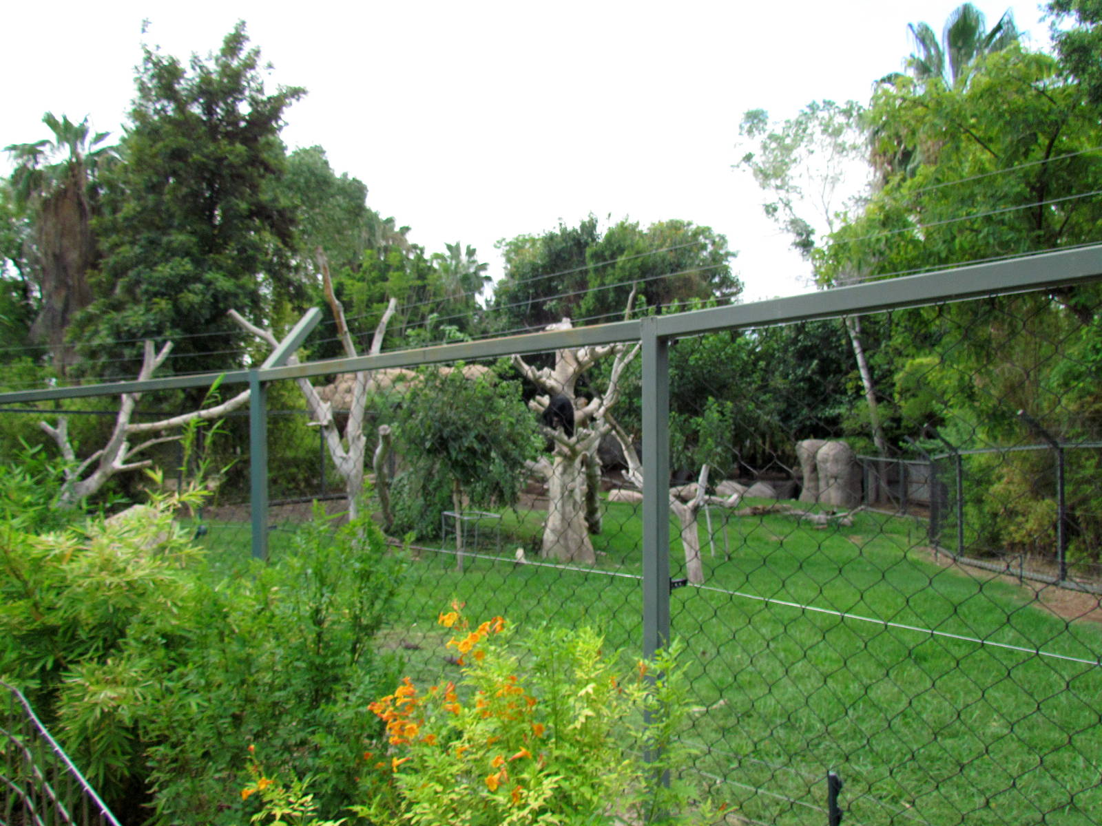 Tropics Trail - Forest of Uco