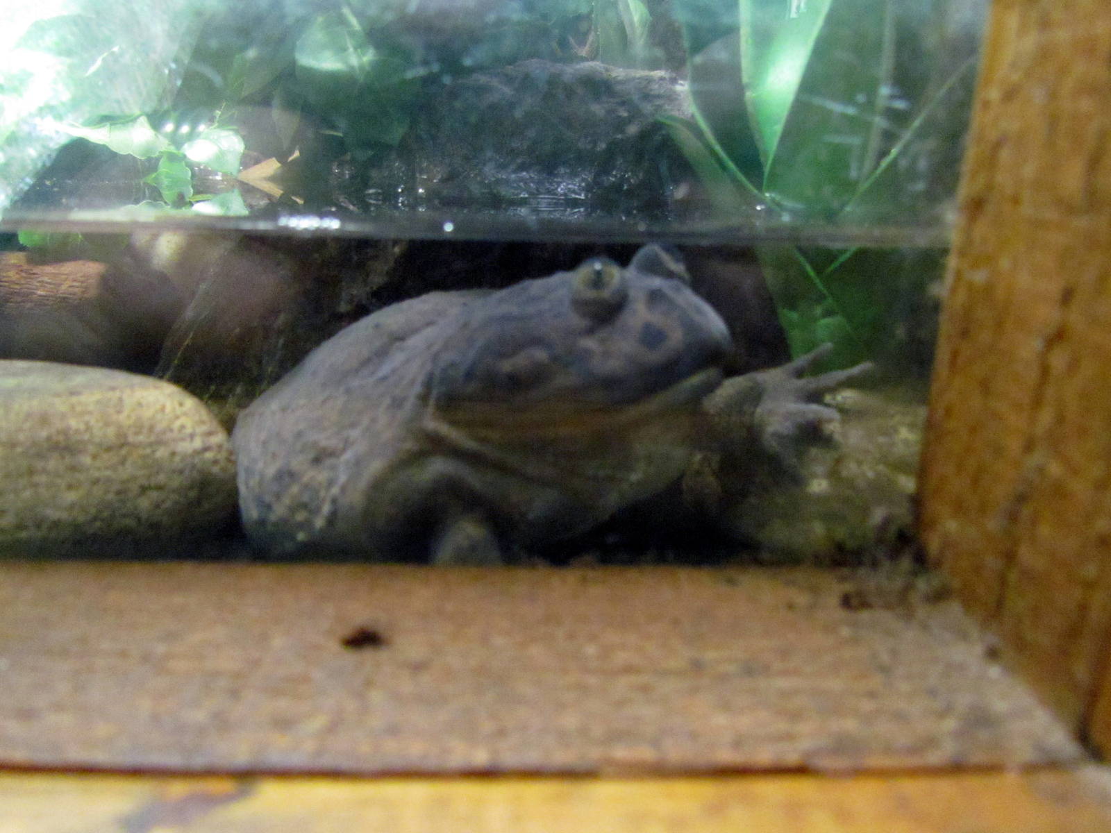 Tropics Trail - Forest of Uco