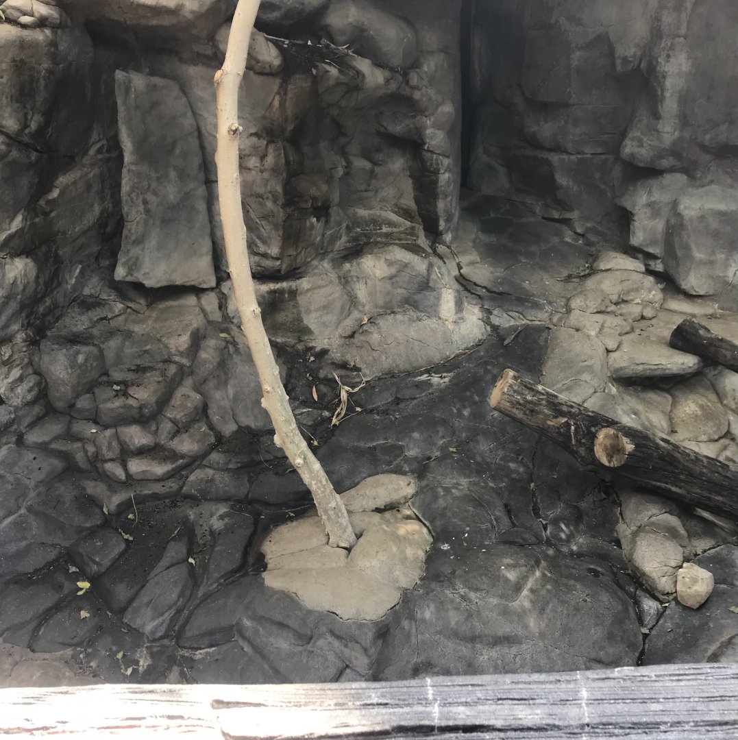 Tropics trail- former Asian small-clawed otter exhibit