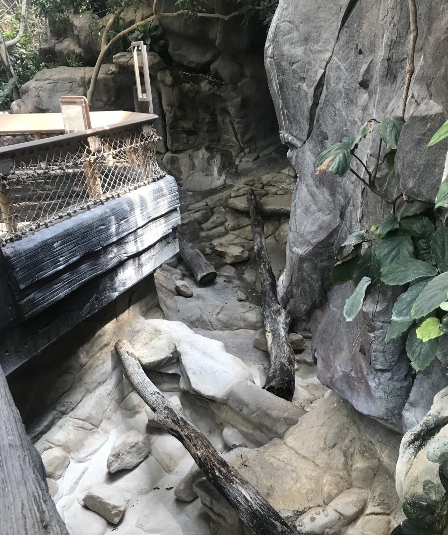 Tropics trail- former Asian small-clawed otter exhibit
