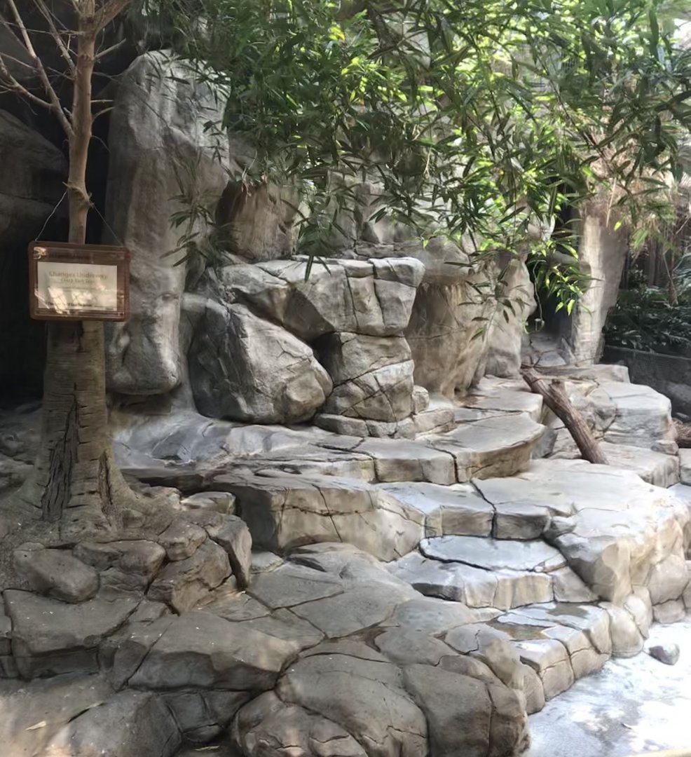 Tropics trail- former visayan warty pig exhibit