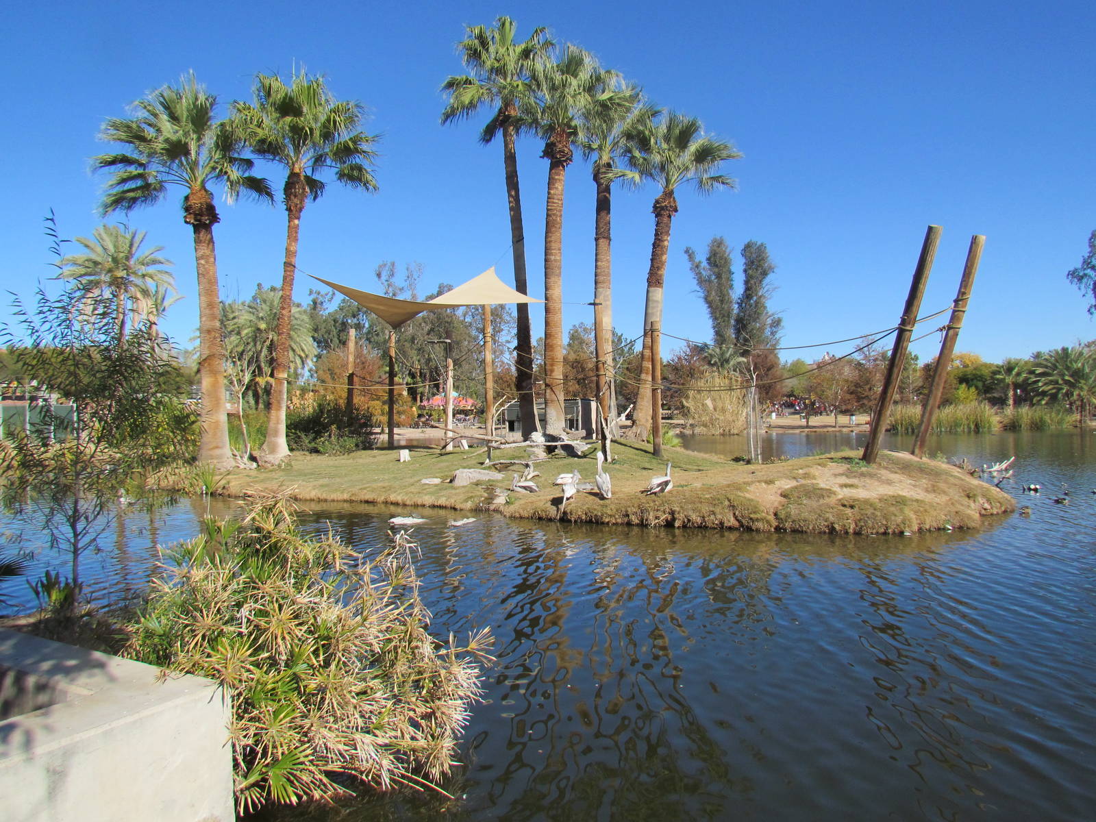 Tropics Trail - Gibbon Island