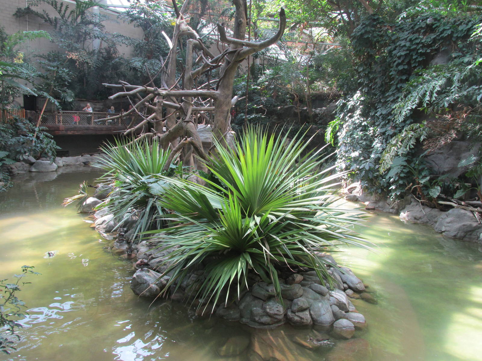 Tropics Trail Gibbon Island